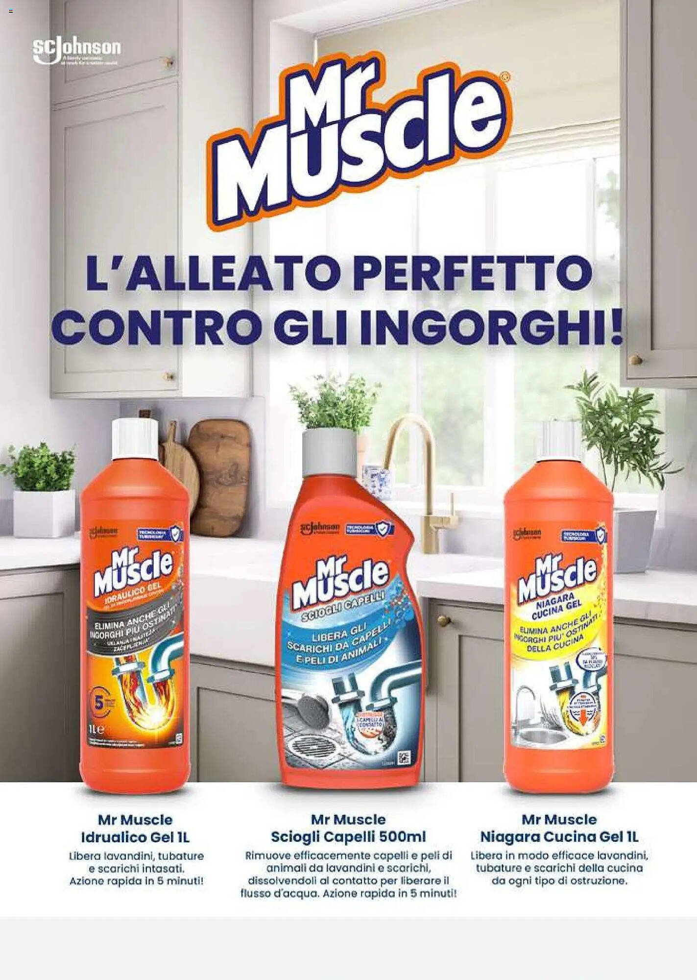 Volantino Supermercati Gulliver (2025-10-31 - 2025-11-30)