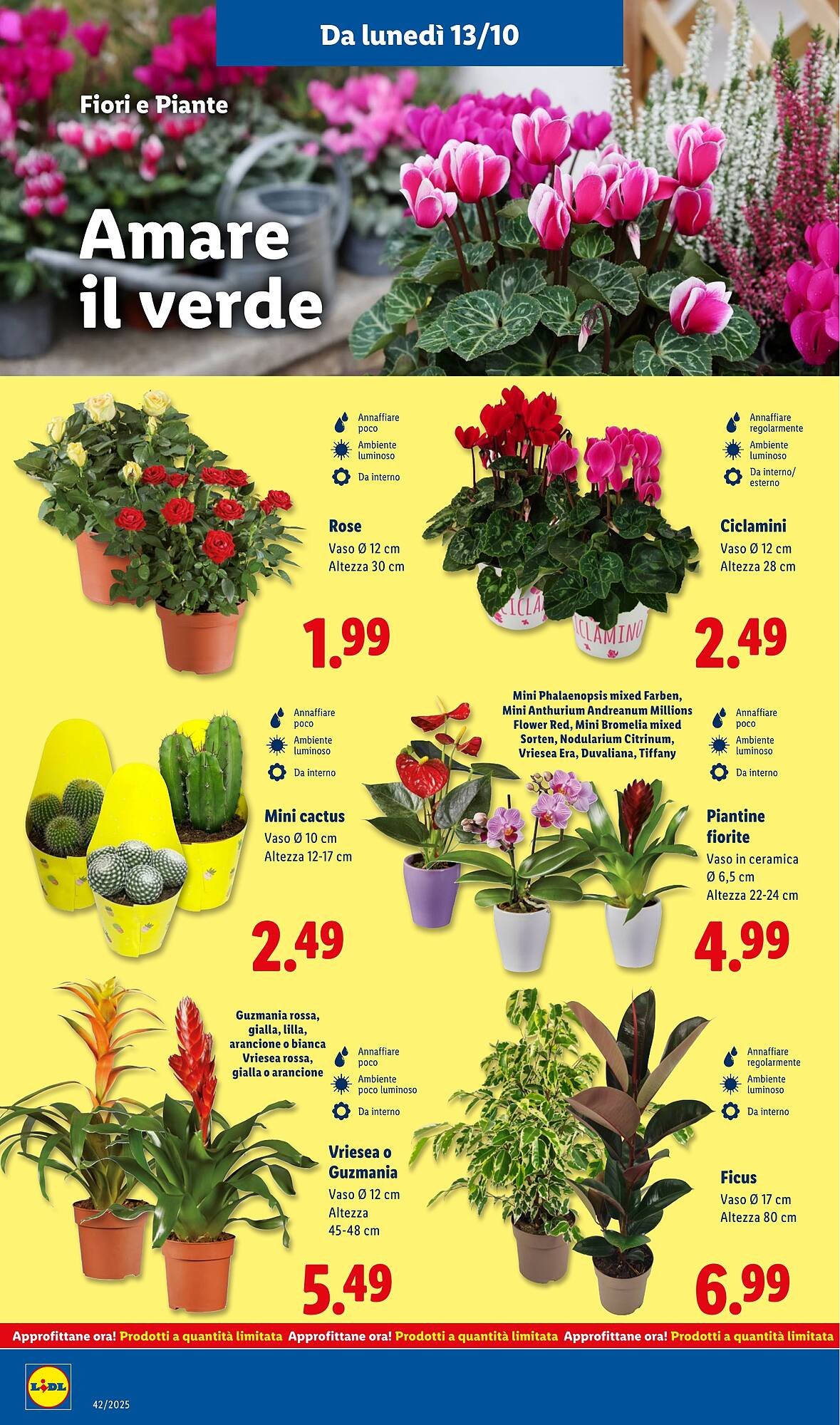 Volantino Lidl (2025-10-13 - 2025-10-19)