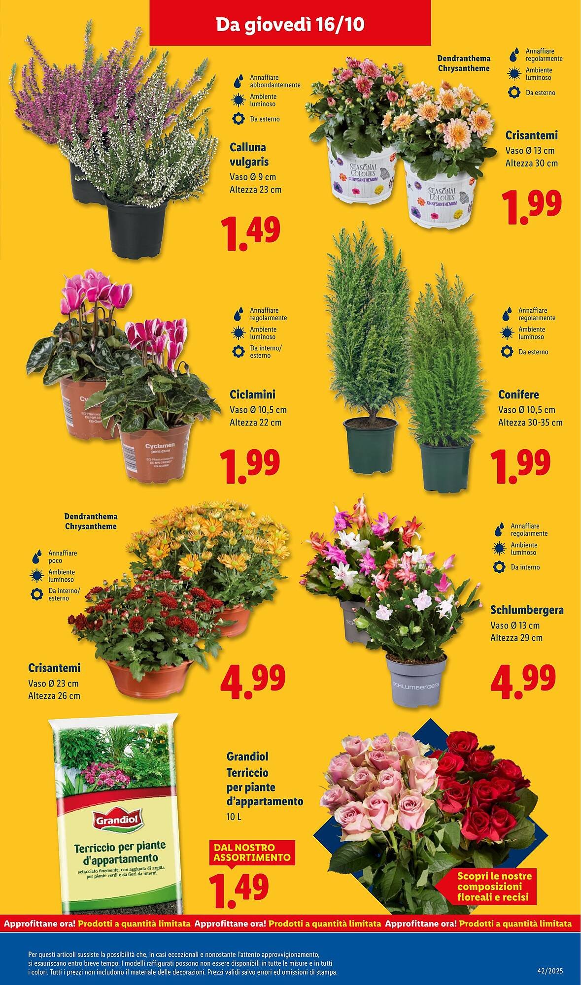 Volantino Lidl (2025-10-13 - 2025-10-19)
