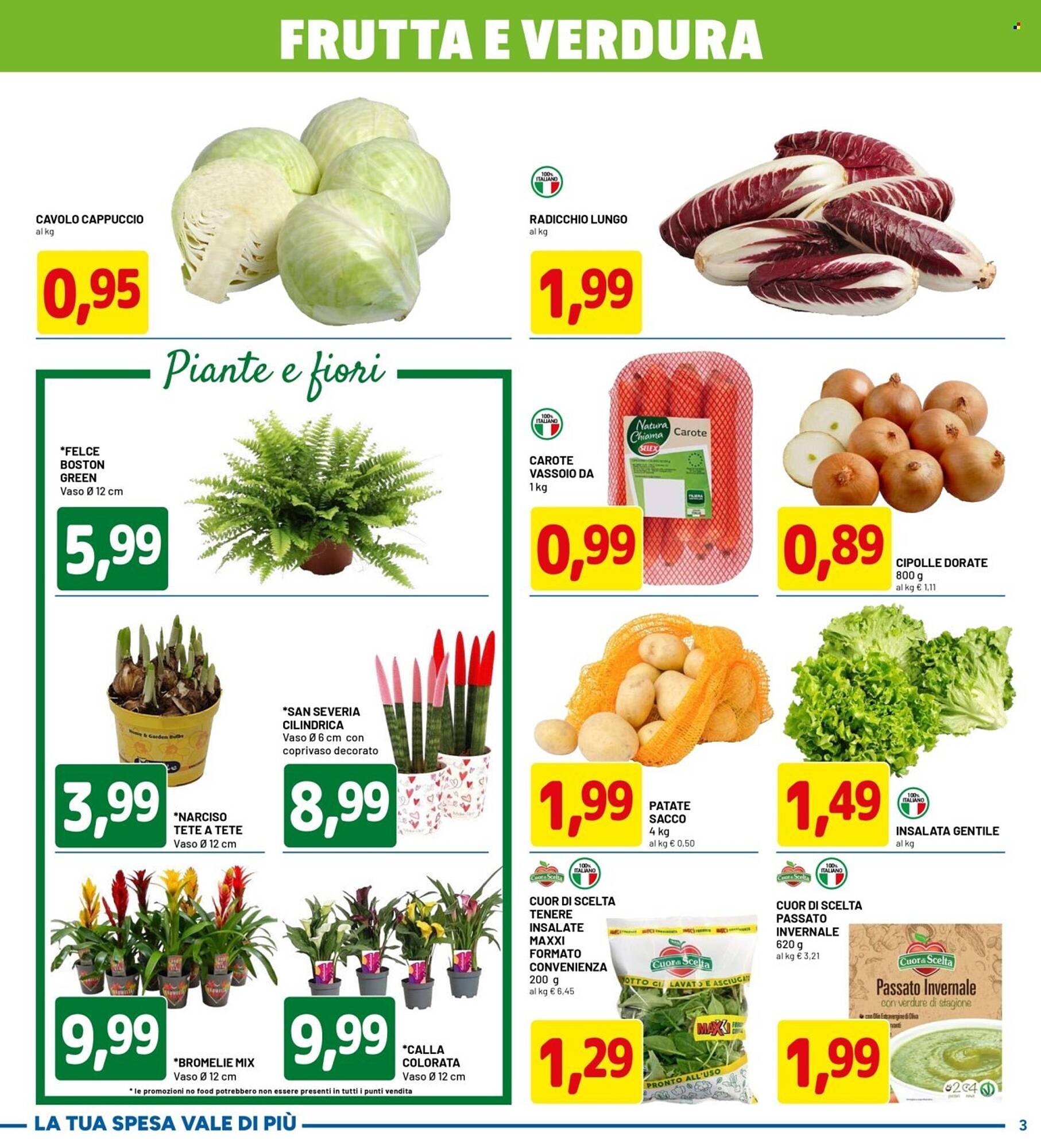 Volantino DPiù (2026-02-23 - 2026-03-04)