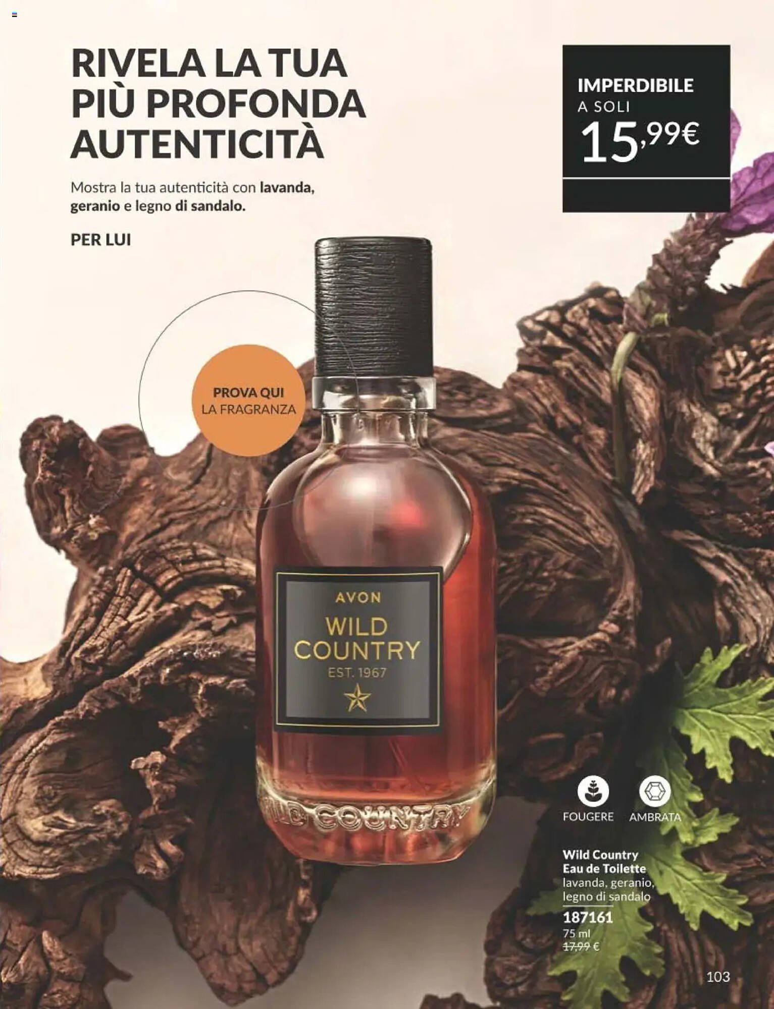 Volantino Avon (2025-09-01 - 2025-09-30)