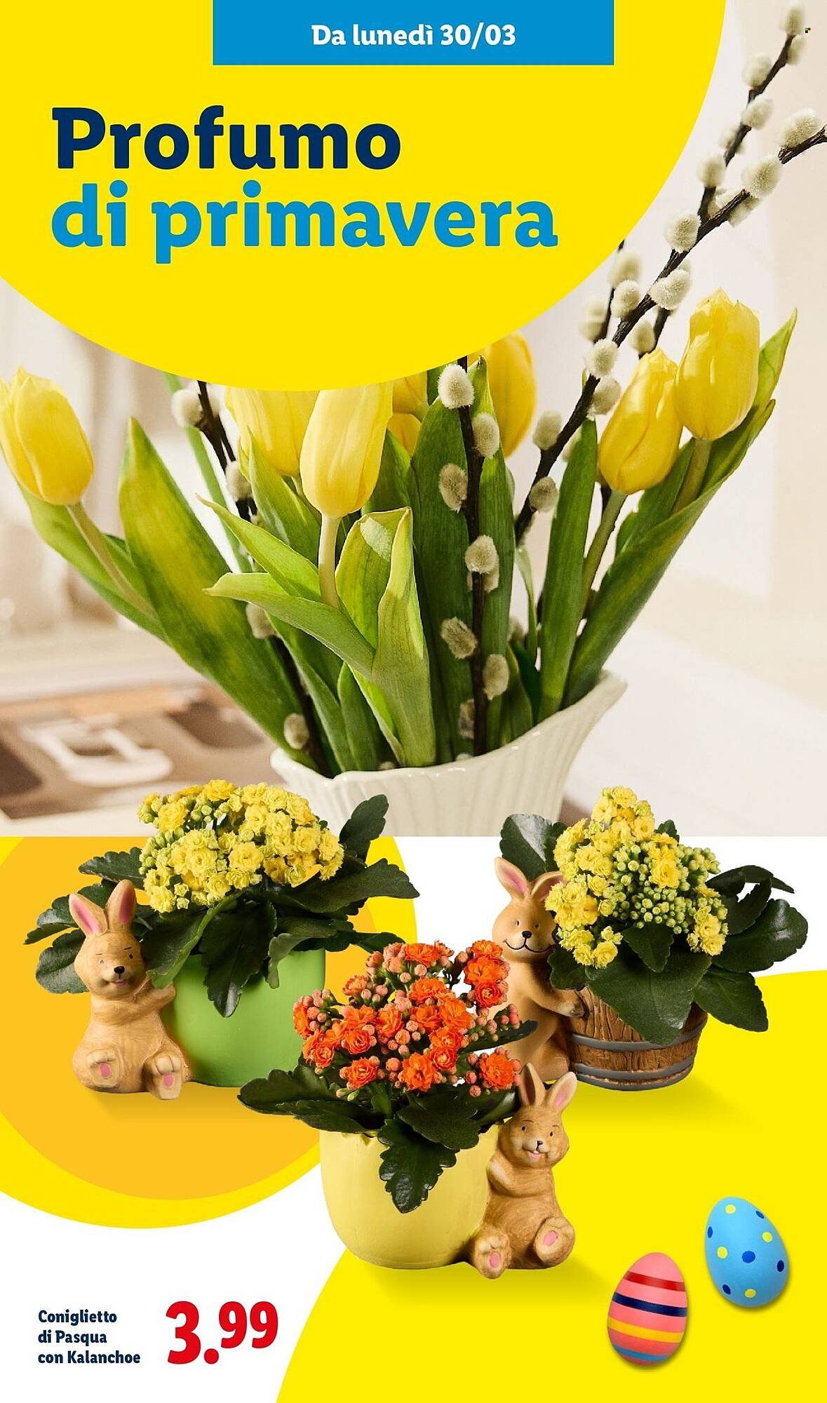 Volantino Lidl (2026-03-02 - 2026-04-05)