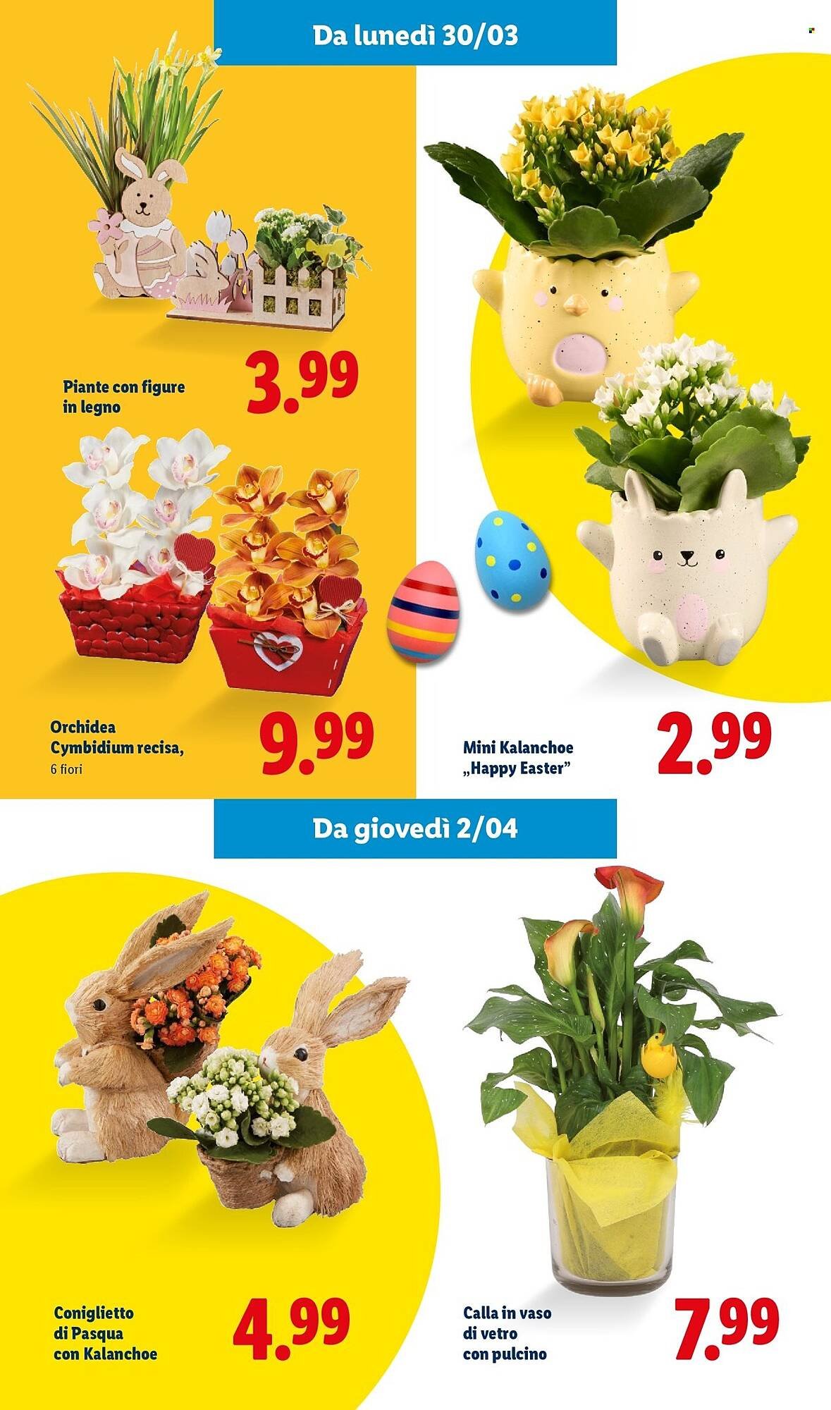 Volantino Lidl (2026-03-02 - 2026-04-05)