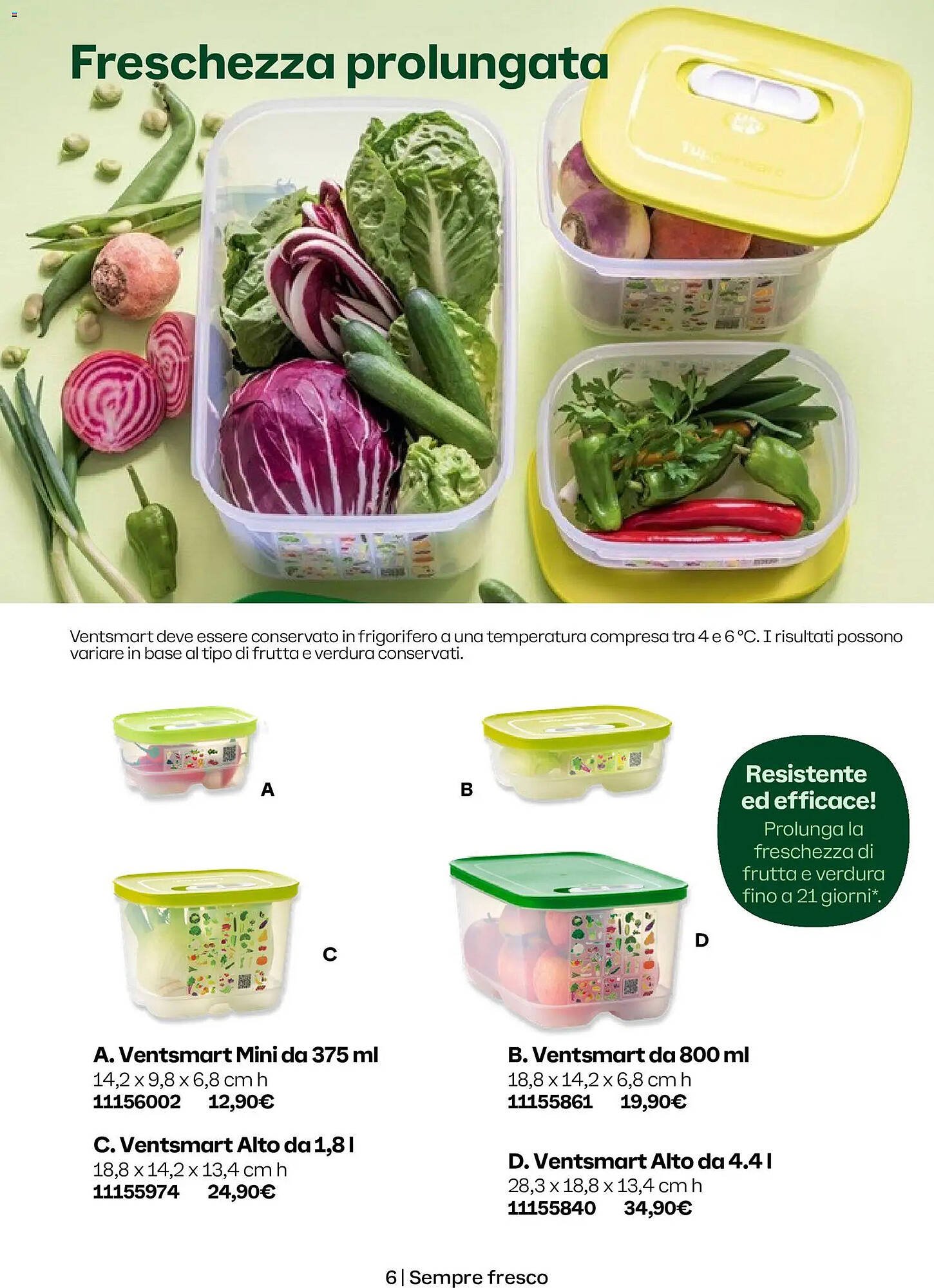 Volantino Tupperware (2026-05-01 - 2026-09-30)