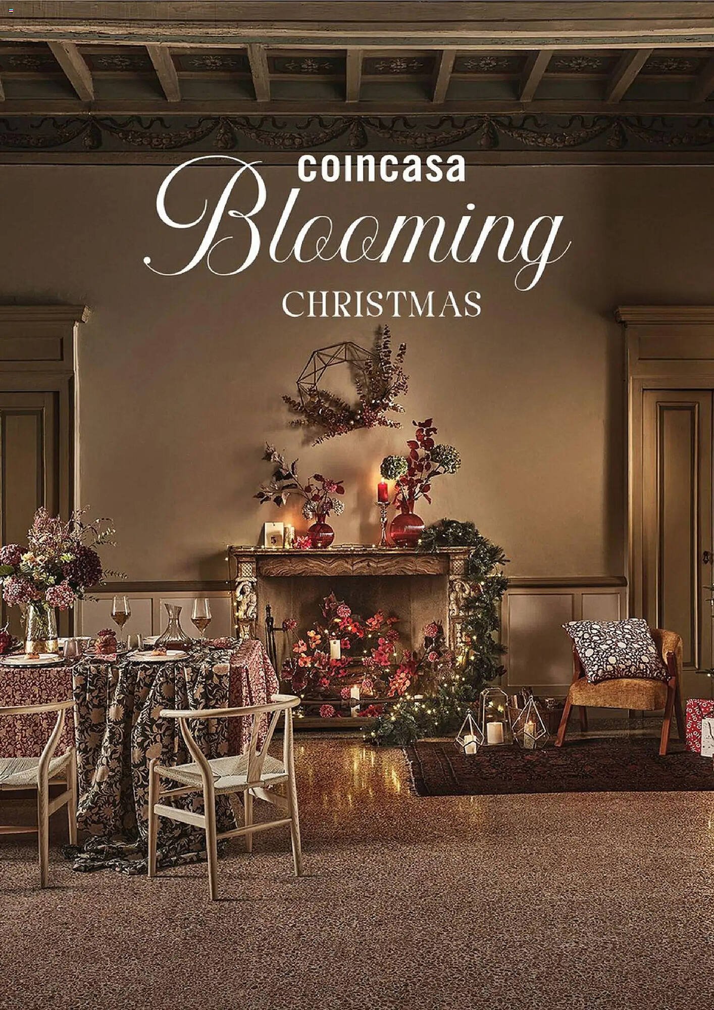 Volantino Coin (2025-11-07 - 2025-12-07)