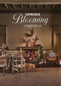 Volantino Coin (2025-11-07 - 2025-12-07)