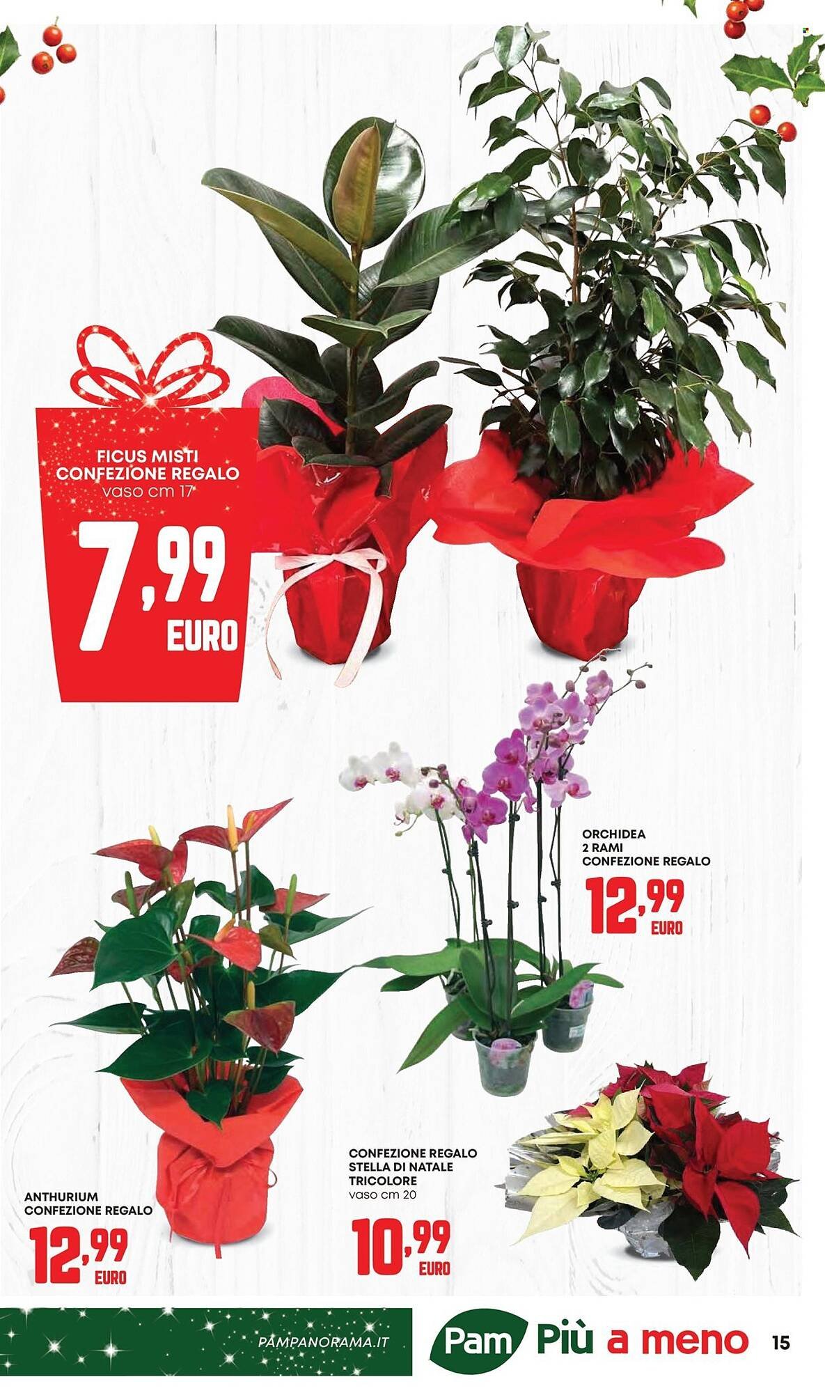 Volantino Panorama (2025-11-20 - 2025-12-06)