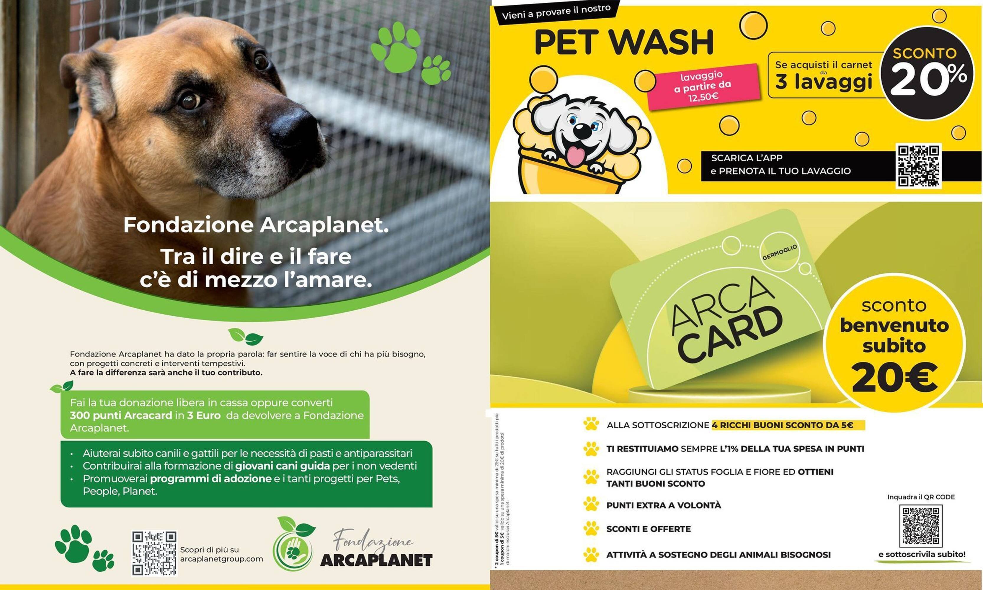 Volantino Arcaplanet (2026-01-08 - 2026-01-18)