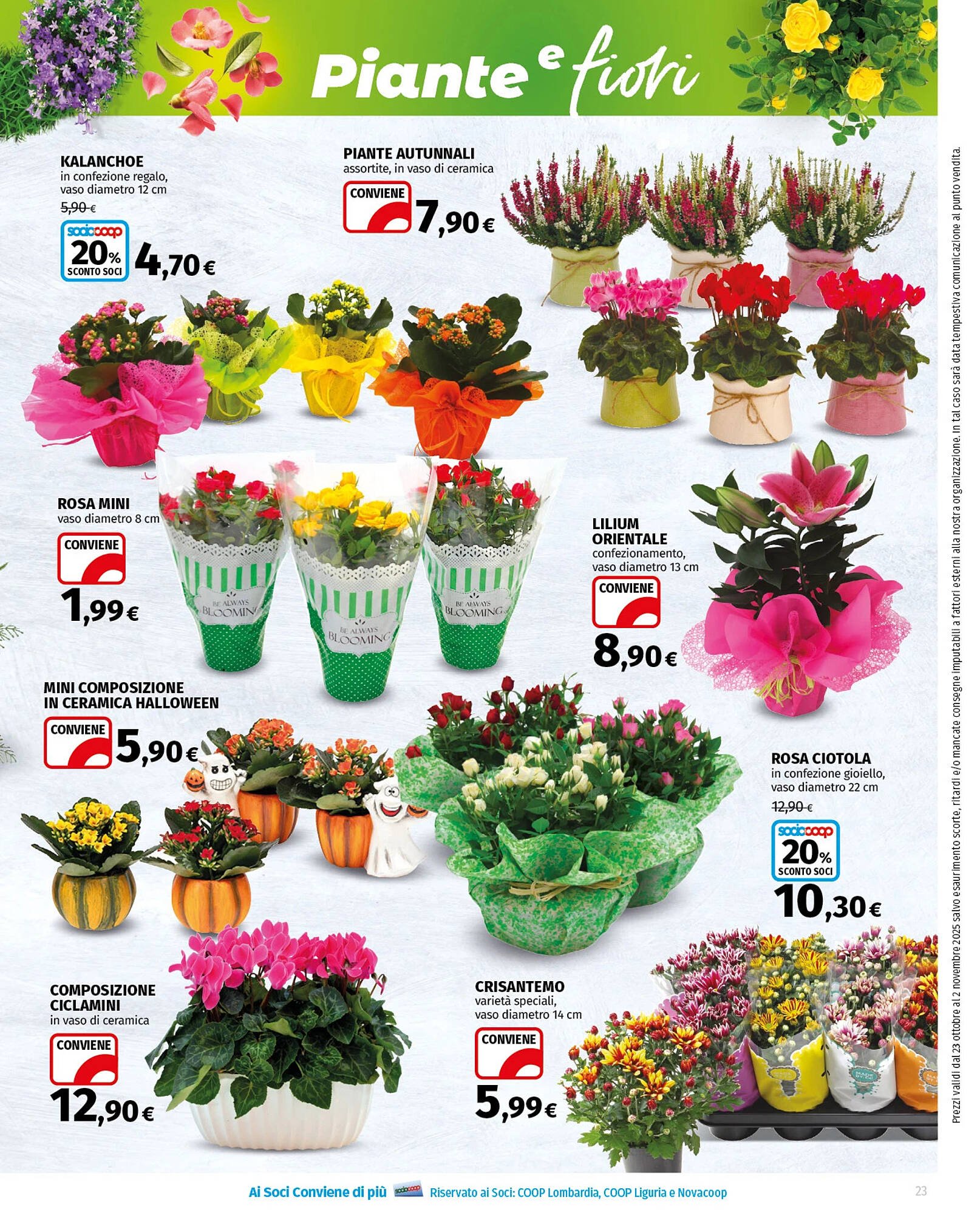 Volantino Ipercoop (2025-10-23 - 2025-11-05)