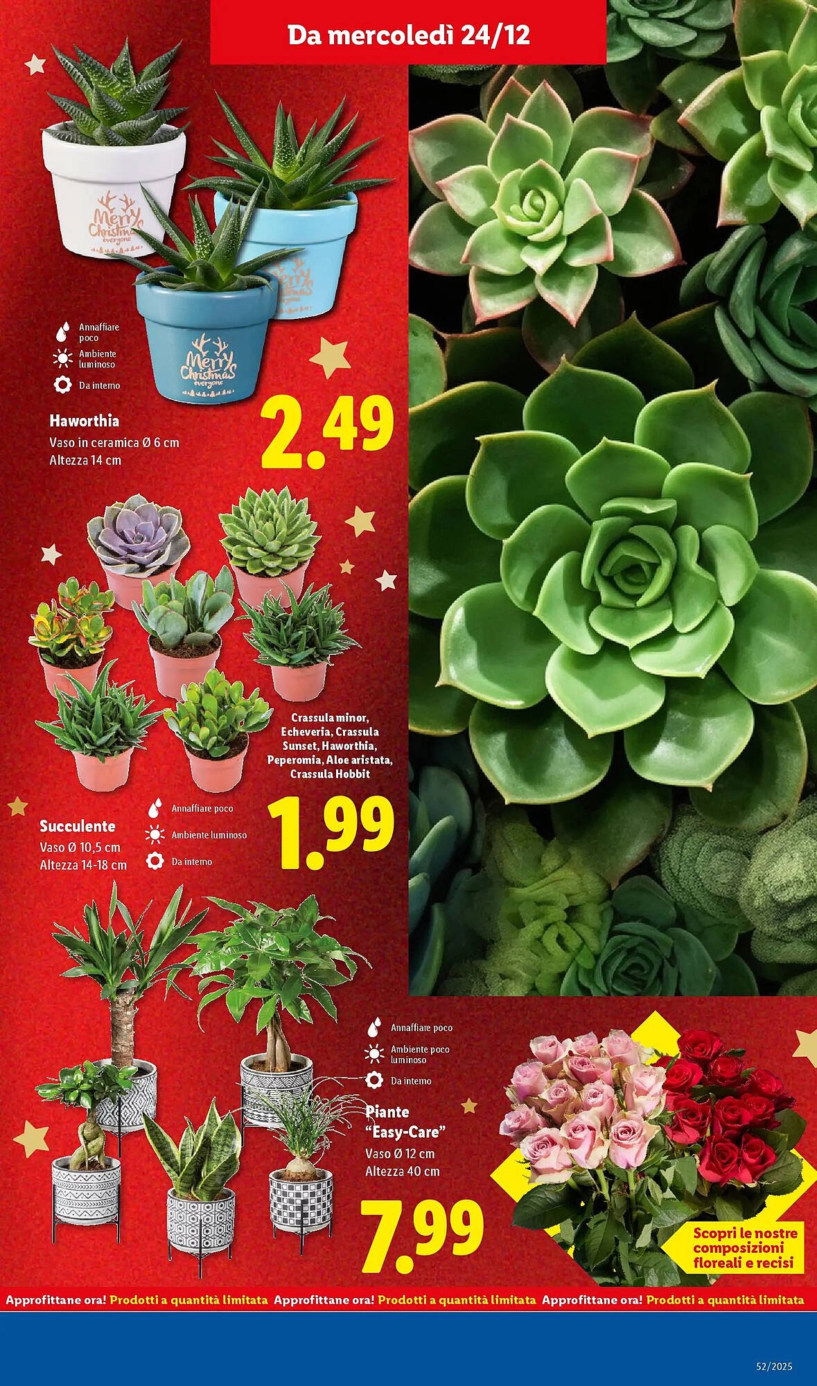 Volantino Lidl (2025-12-20 - 2025-12-25)