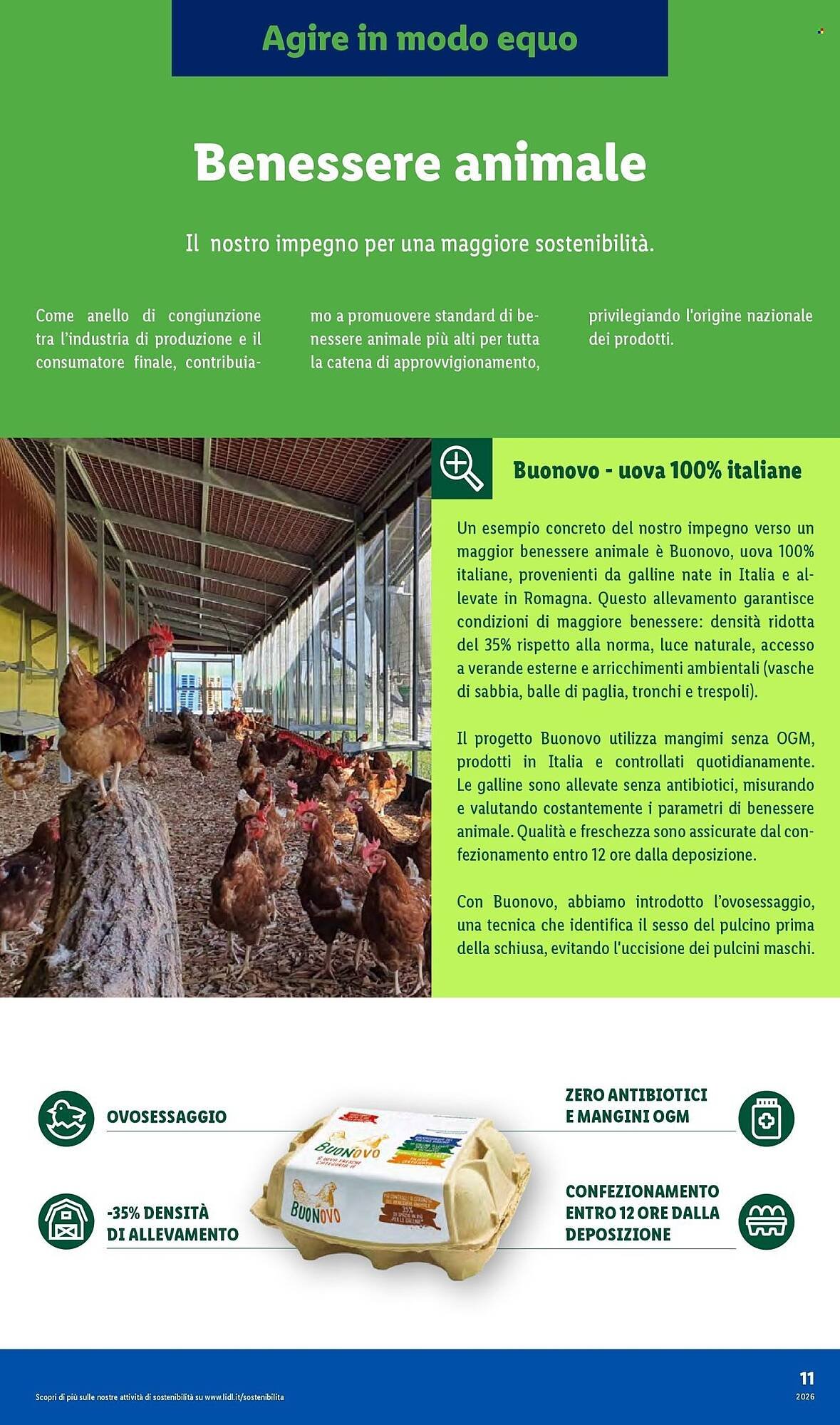 Volantino Lidl (2026-01-19 - 2026-01-27)