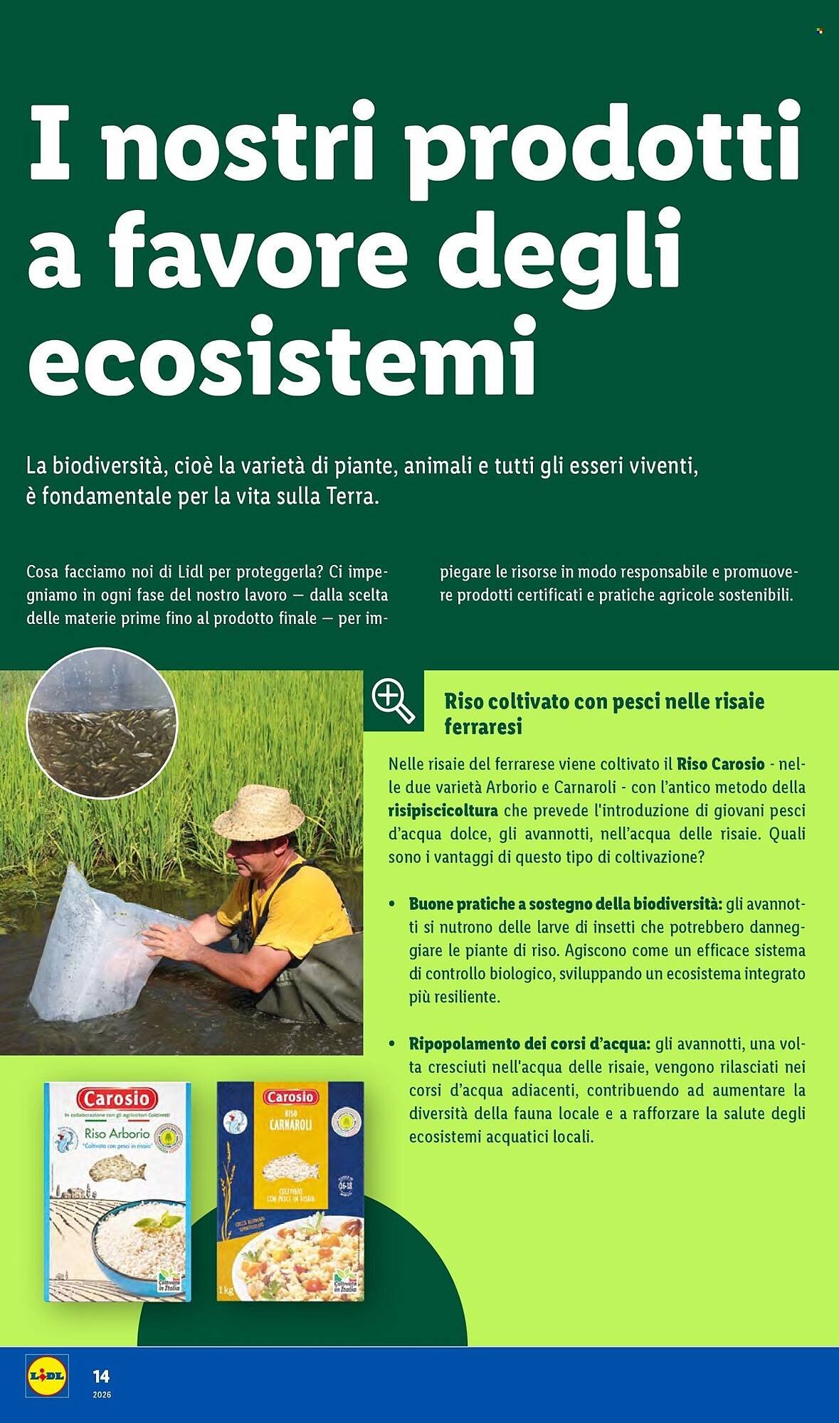 Volantino Lidl (2026-01-19 - 2026-01-27)