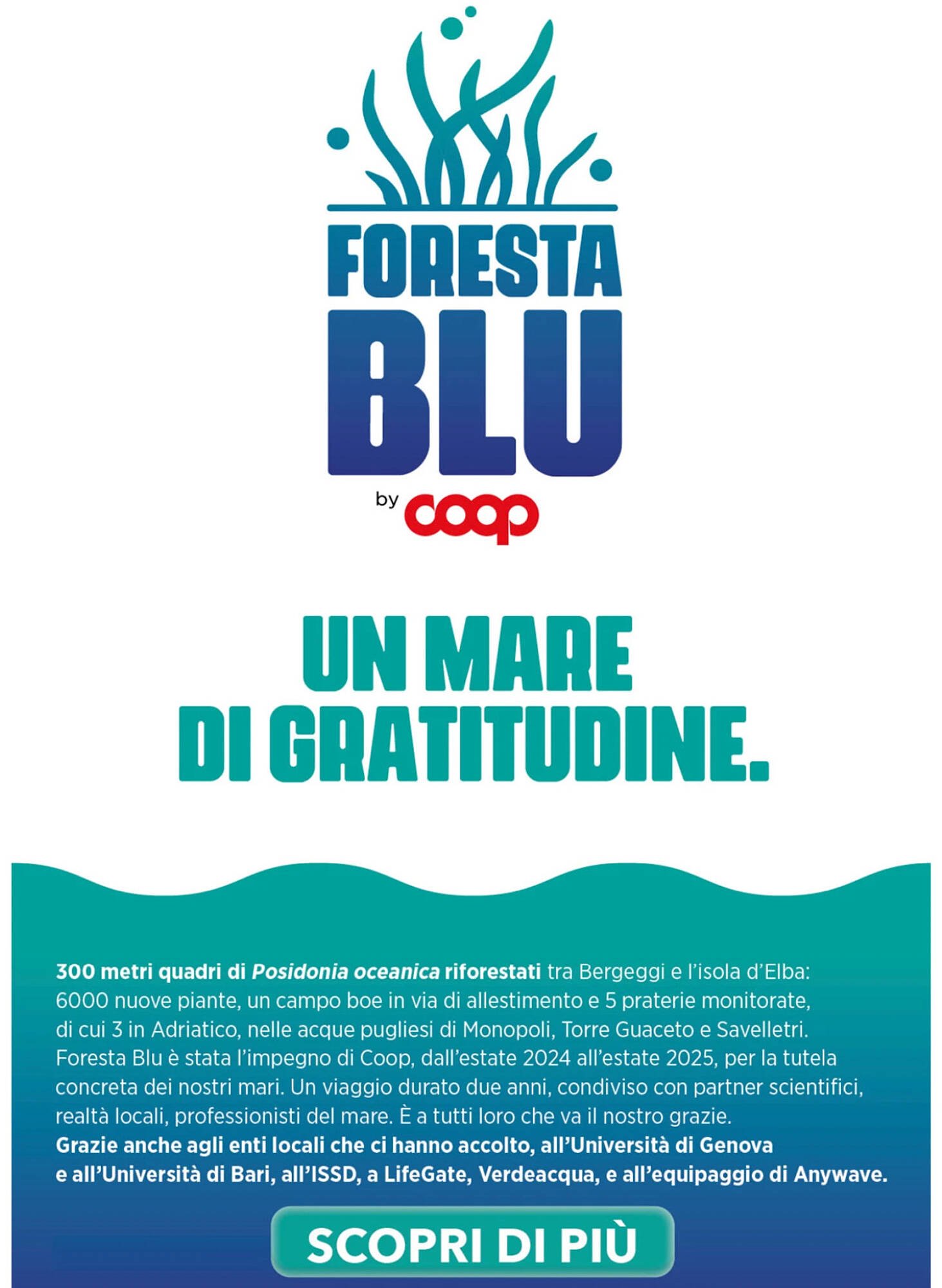 Volantino Ipercoop (2025-12-27 - 2026-01-28)