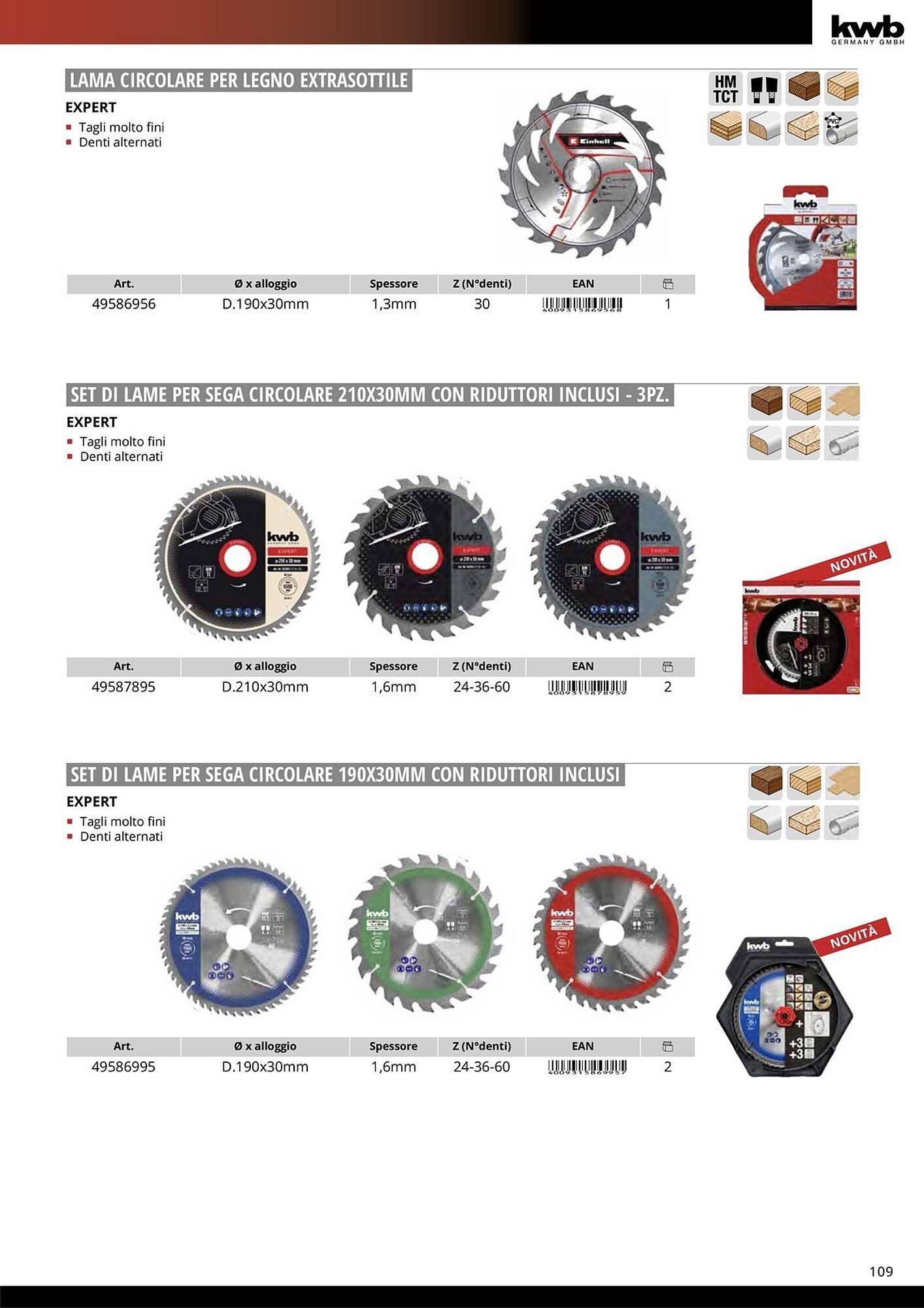 Volantino Einhell (2026-01-08 - 2026-01-31)