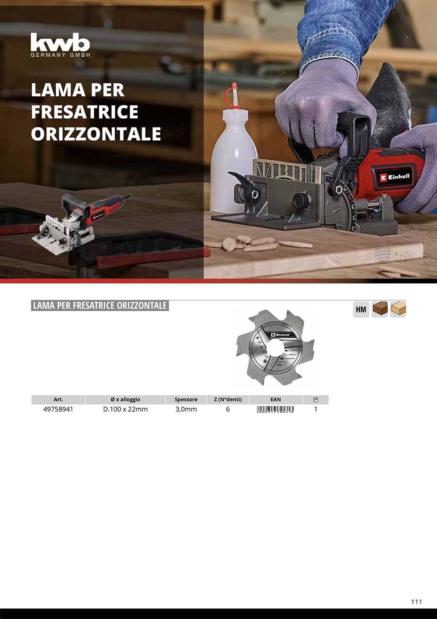 Volantino Einhell (2026-01-08 - 2026-01-31)