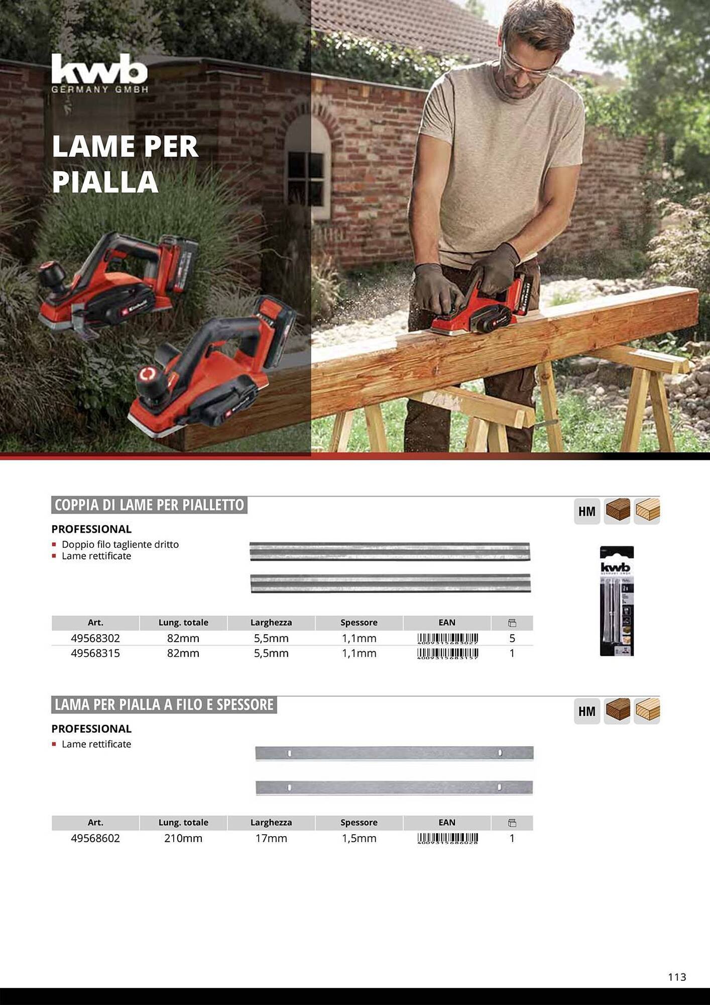 Volantino Einhell (2026-01-08 - 2026-01-31)