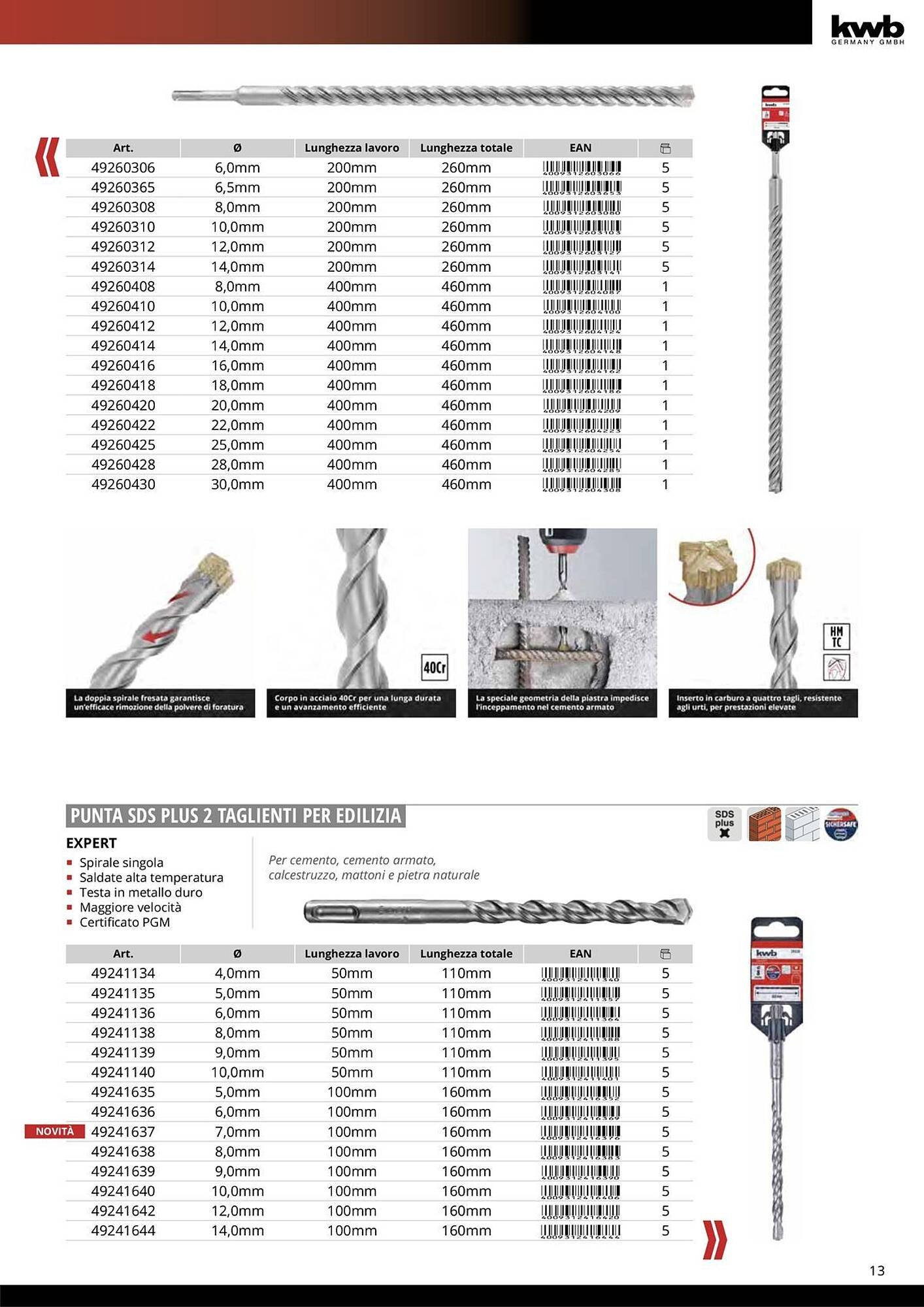Volantino Einhell (2026-01-08 - 2026-01-31)
