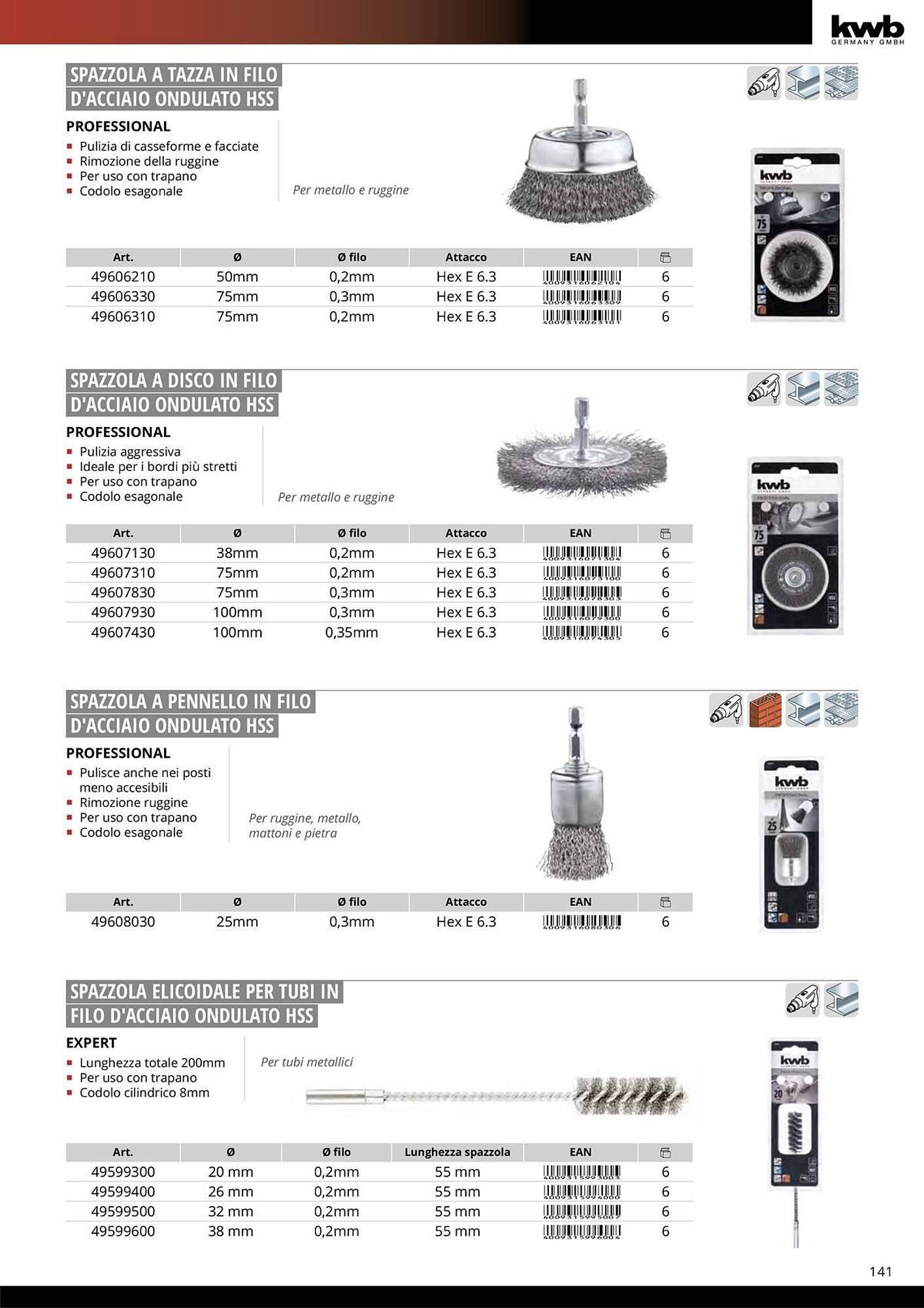 Volantino Einhell (2026-01-08 - 2026-01-31)