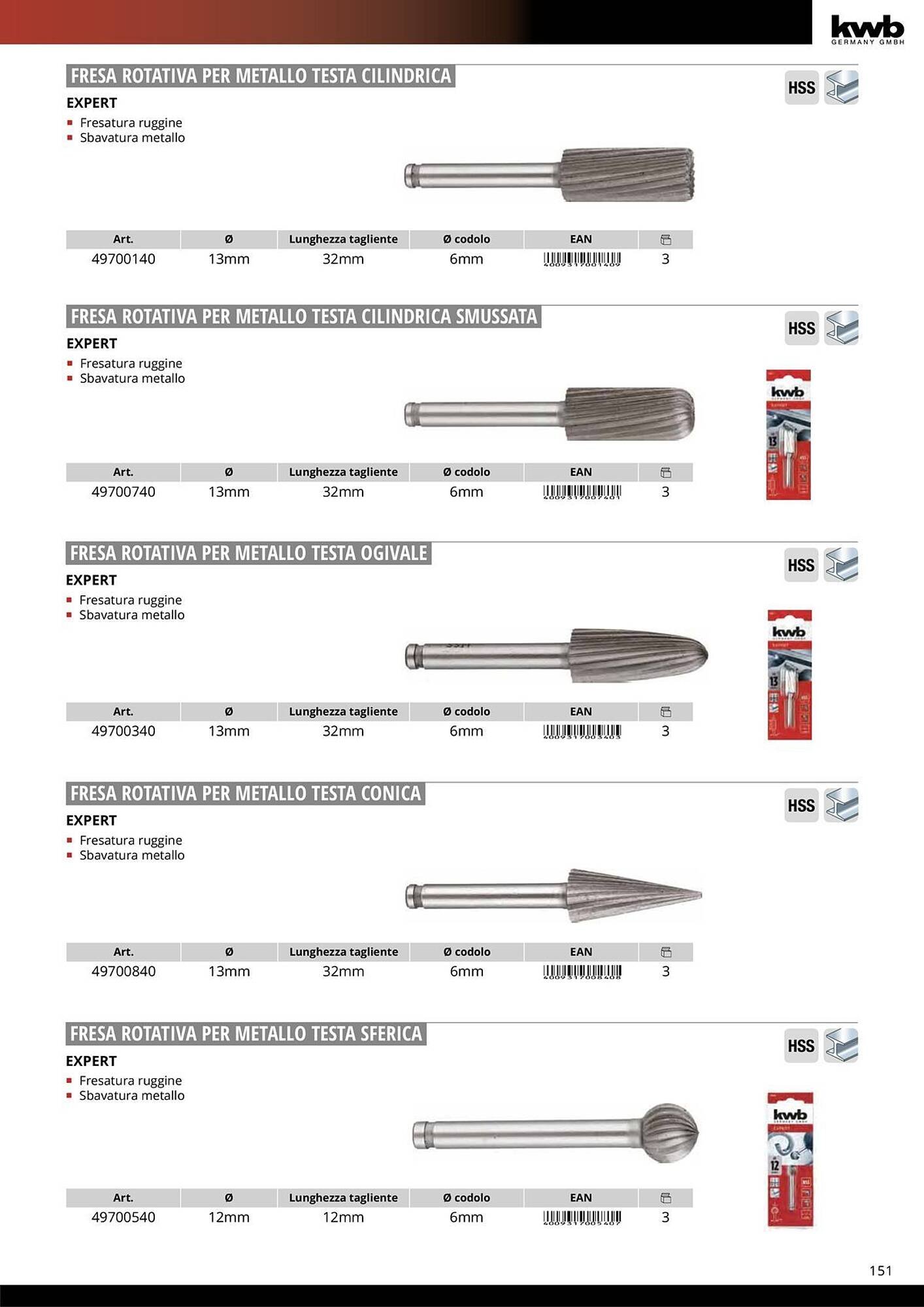 Volantino Einhell (2026-01-08 - 2026-01-31)