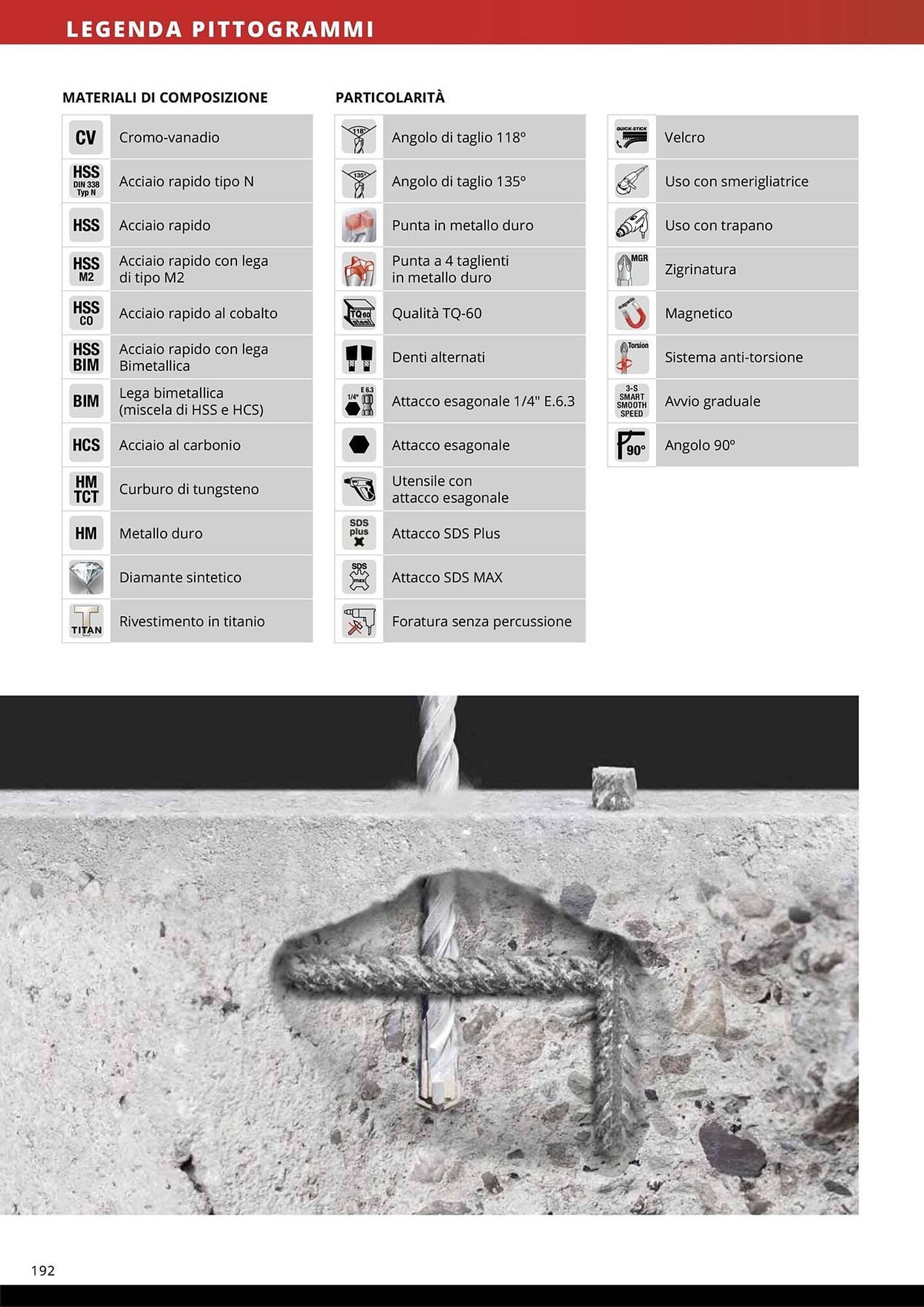 Volantino Einhell (2026-01-08 - 2026-01-31)