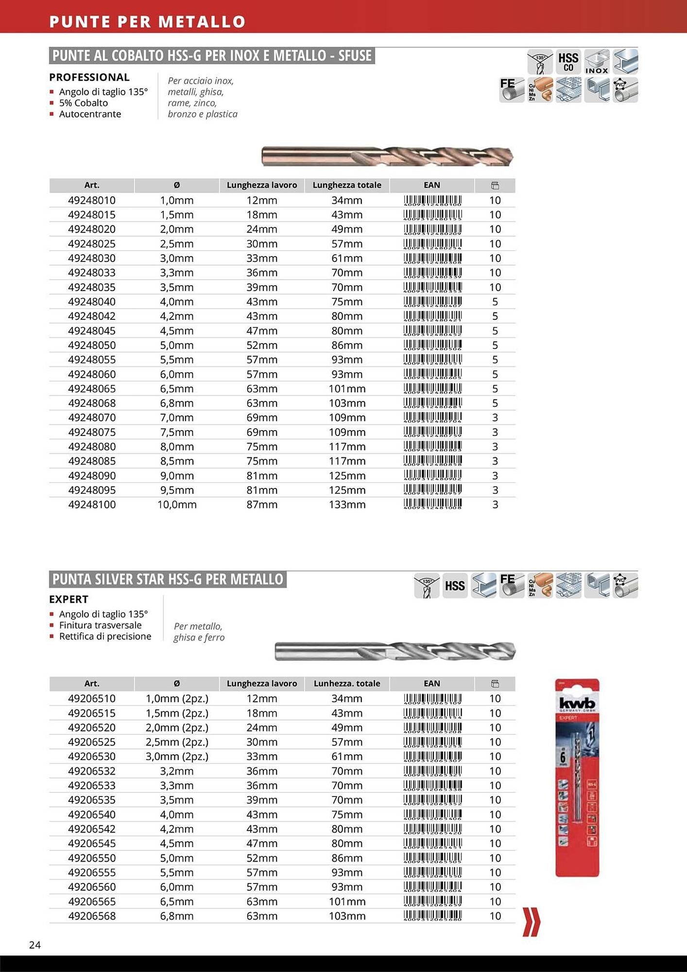 Volantino Einhell (2026-01-08 - 2026-01-31)