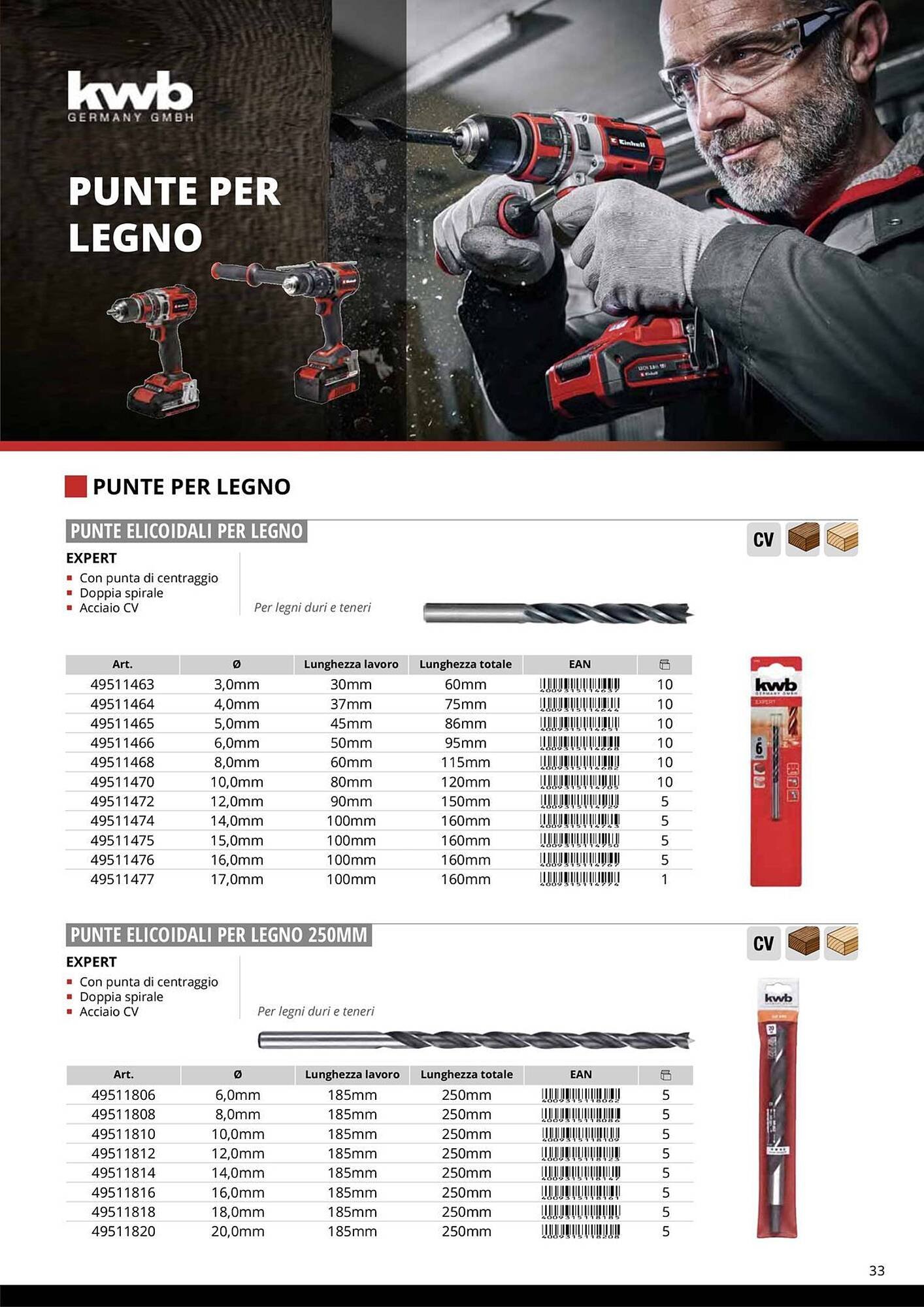 Volantino Einhell (2026-01-08 - 2026-01-31)