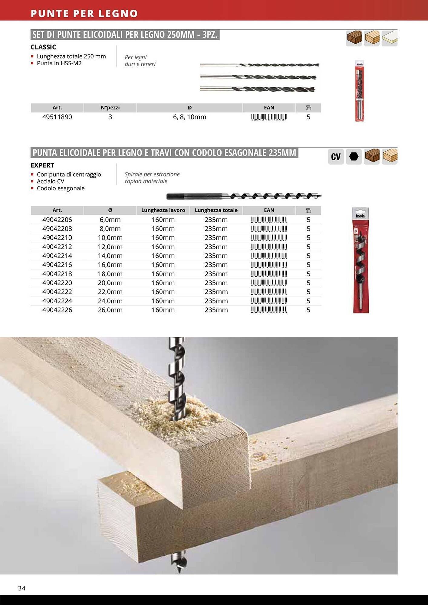Volantino Einhell (2026-01-08 - 2026-01-31)
