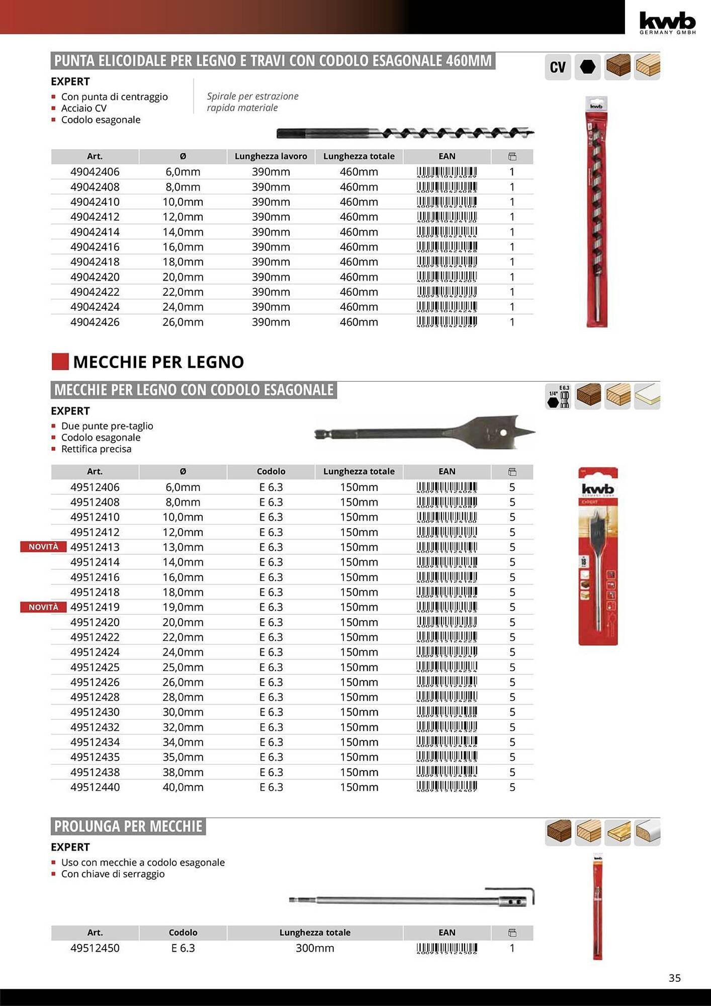 Volantino Einhell (2026-01-08 - 2026-01-31)