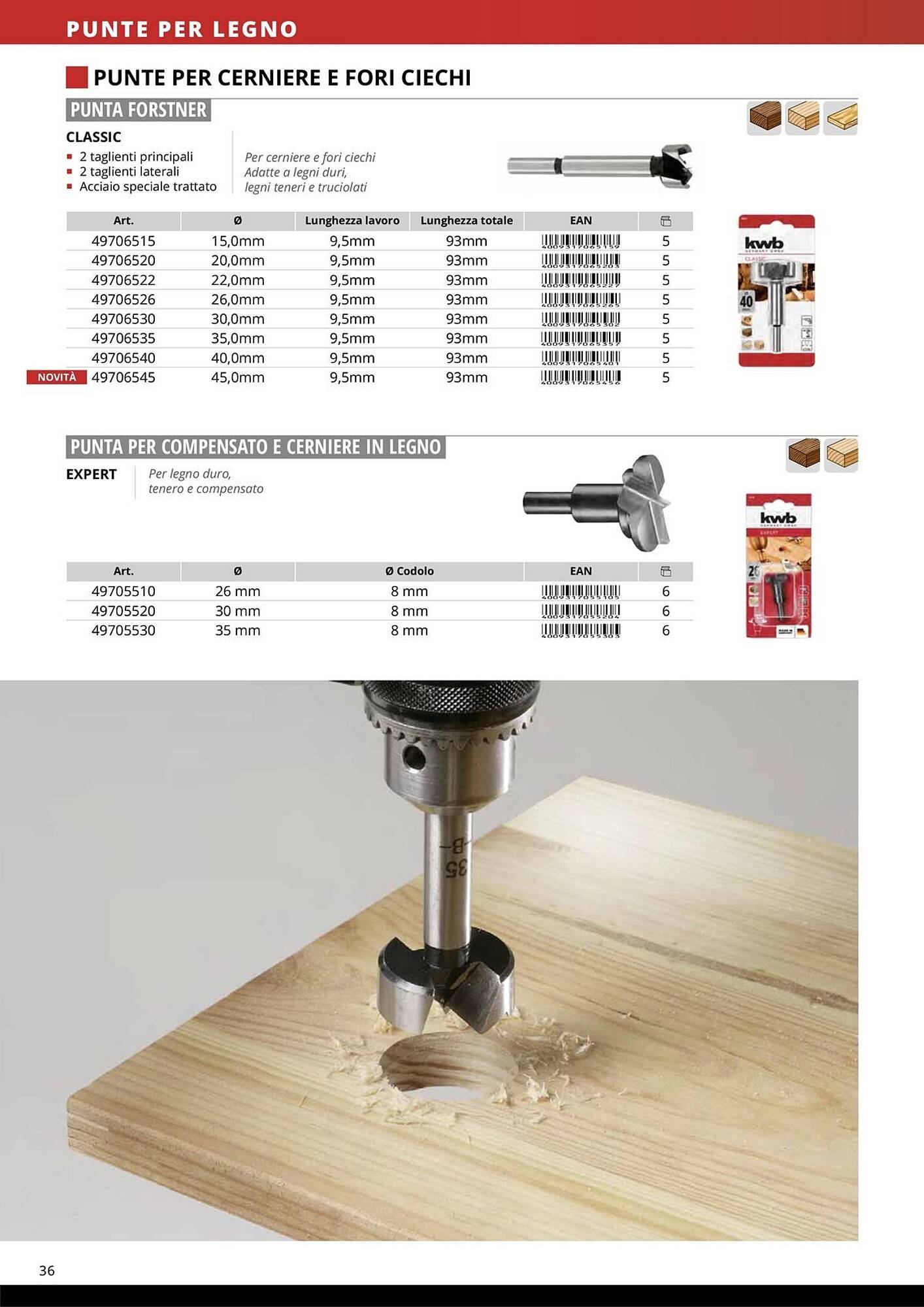 Volantino Einhell (2026-01-08 - 2026-01-31)