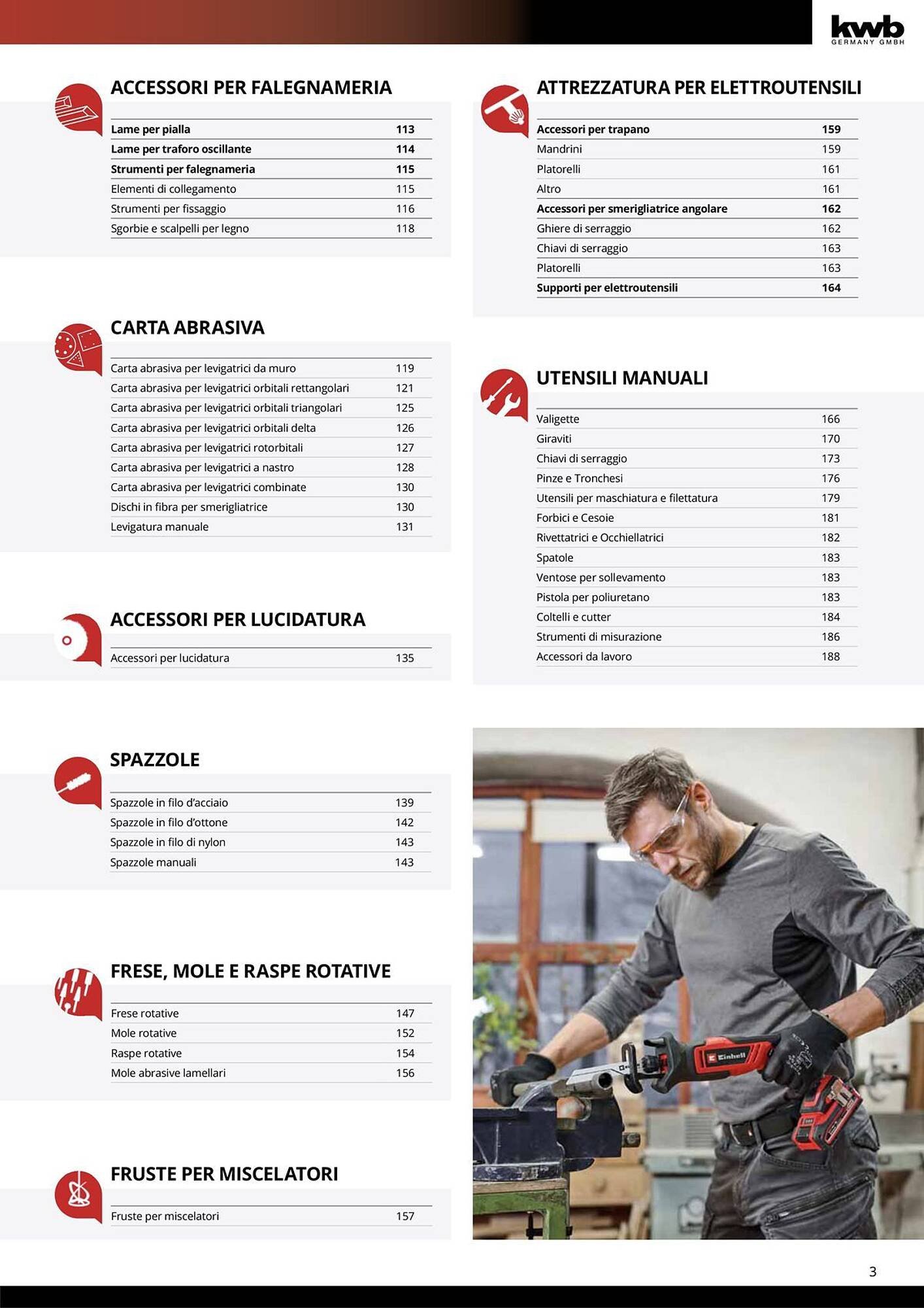 Volantino Einhell (2026-01-08 - 2026-01-31)