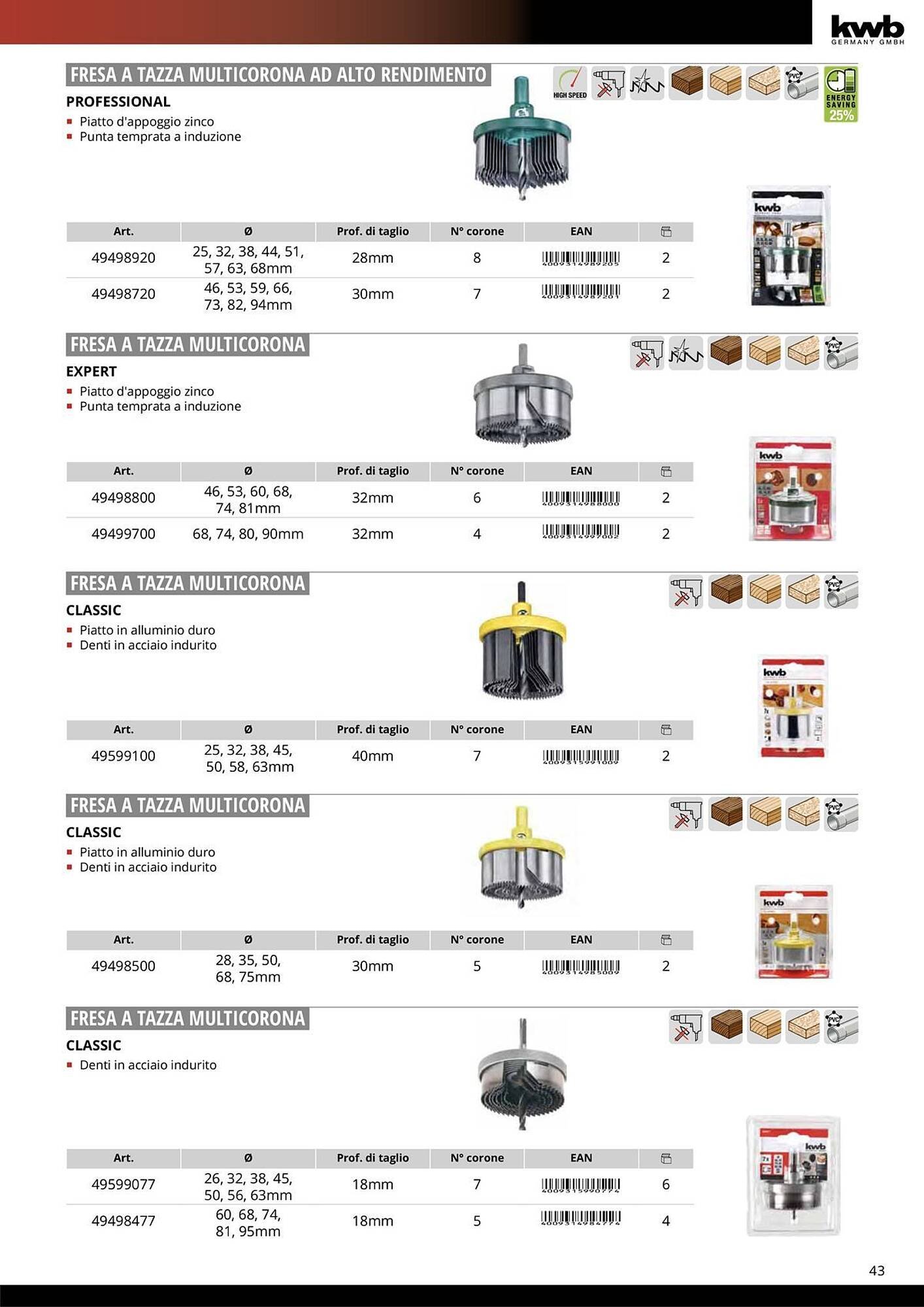 Volantino Einhell (2026-01-08 - 2026-01-31)
