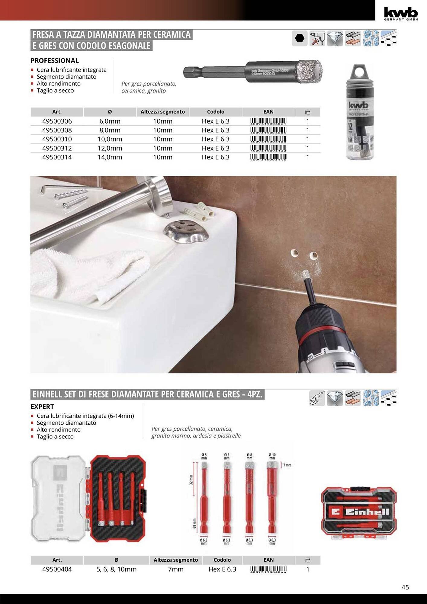 Volantino Einhell (2026-01-08 - 2026-01-31)