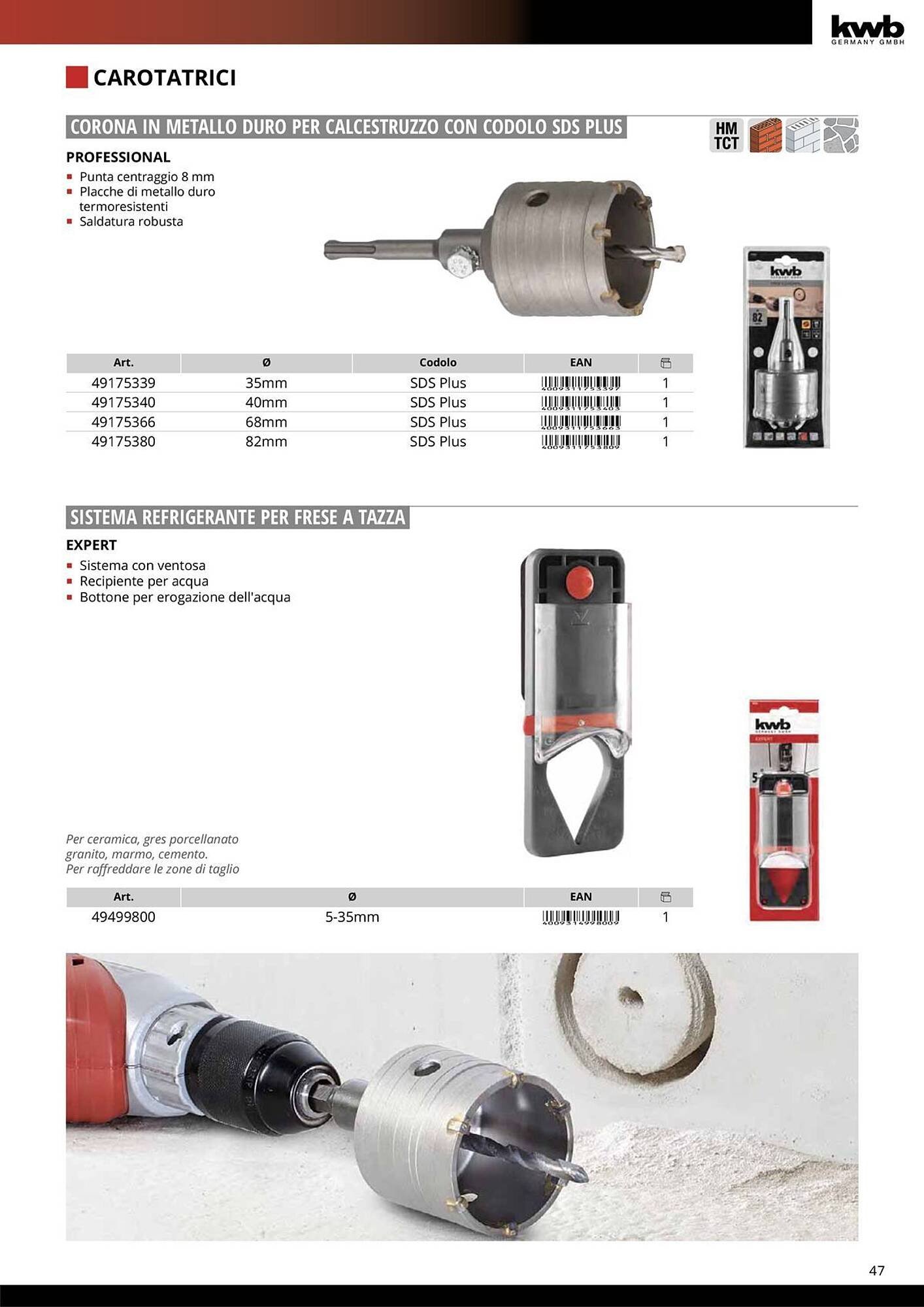 Volantino Einhell (2026-01-08 - 2026-01-31)