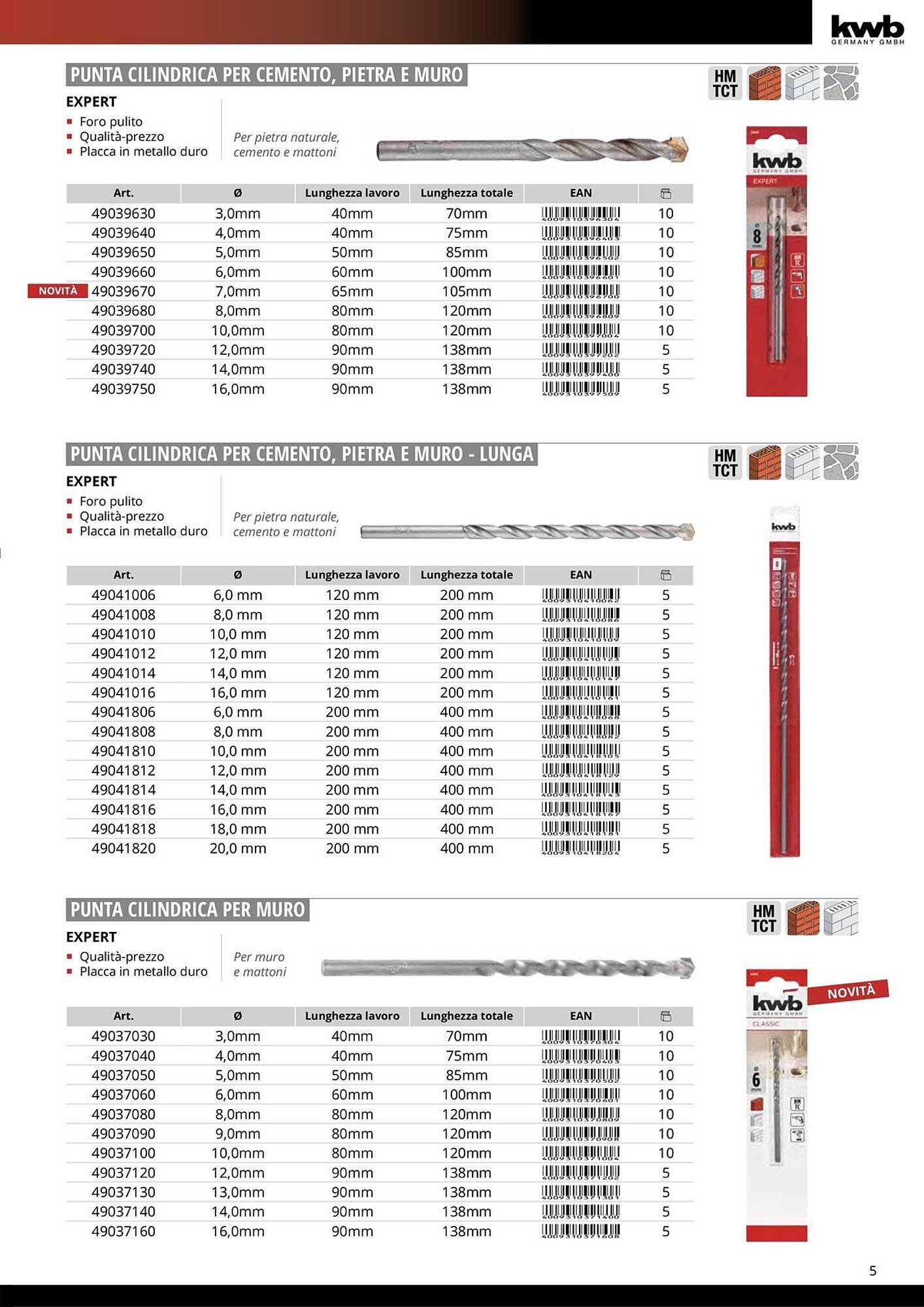 Volantino Einhell (2026-01-08 - 2026-01-31)