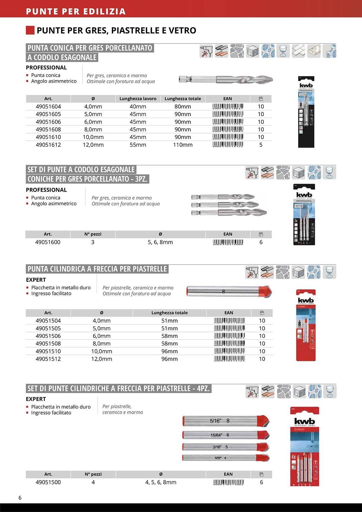 Volantino Einhell (2026-01-08 - 2026-01-31)
