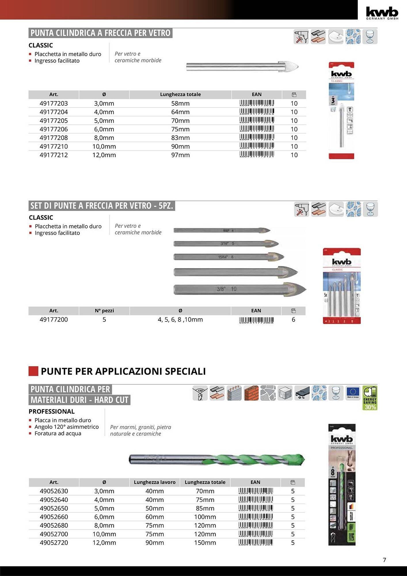 Volantino Einhell (2026-01-08 - 2026-01-31)