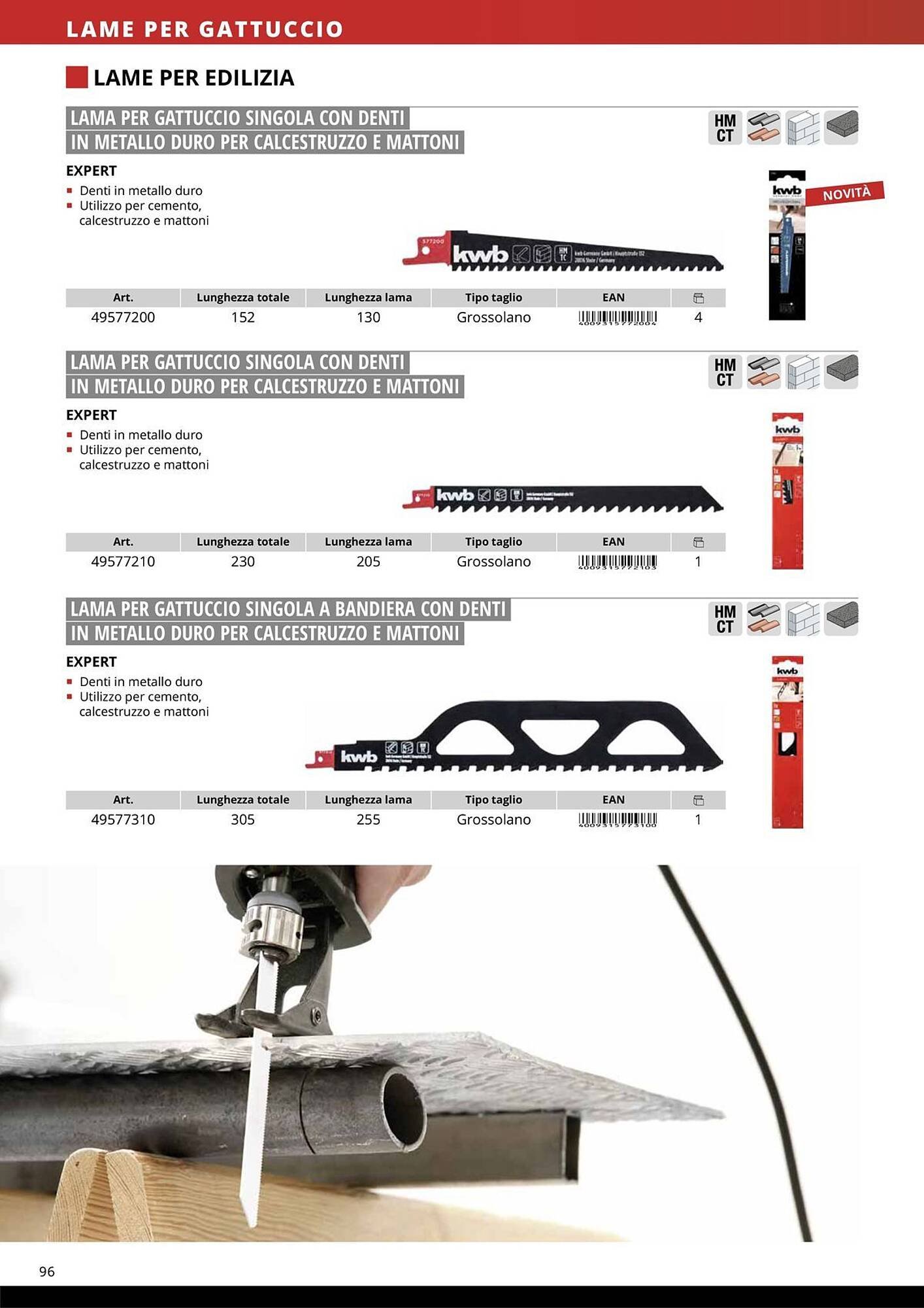 Volantino Einhell (2026-01-08 - 2026-01-31)