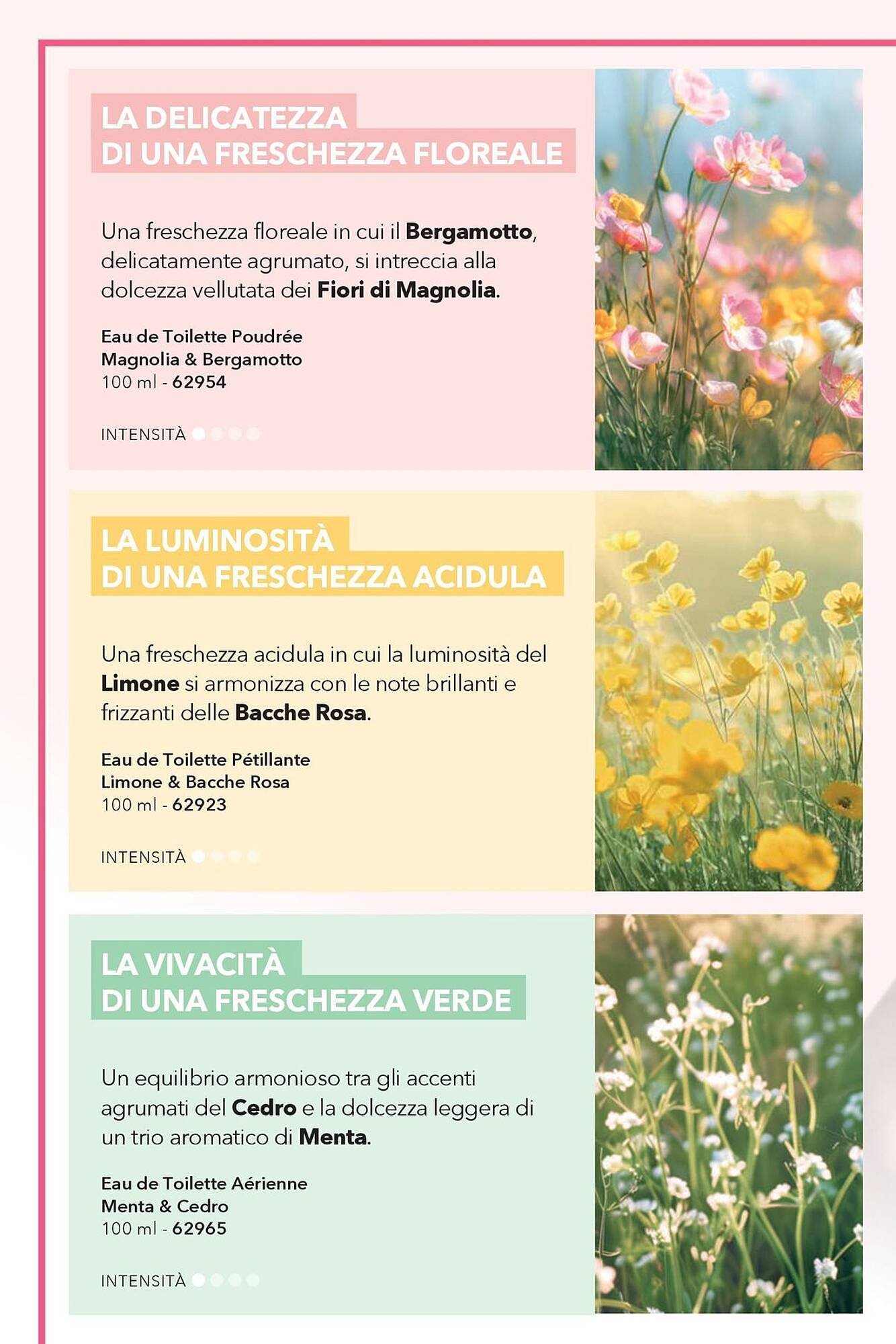 Catalogo Yves Rocher (2026-04-23 - 2026-05-11)