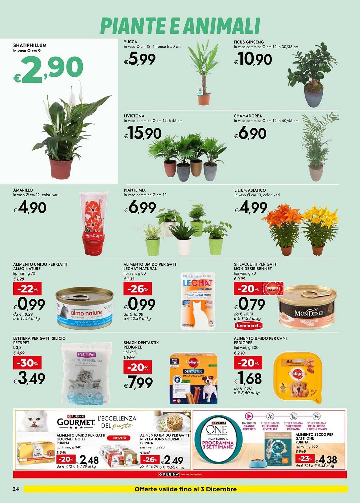 Volantino Bennet (2025-11-20 - 2025-11-29)