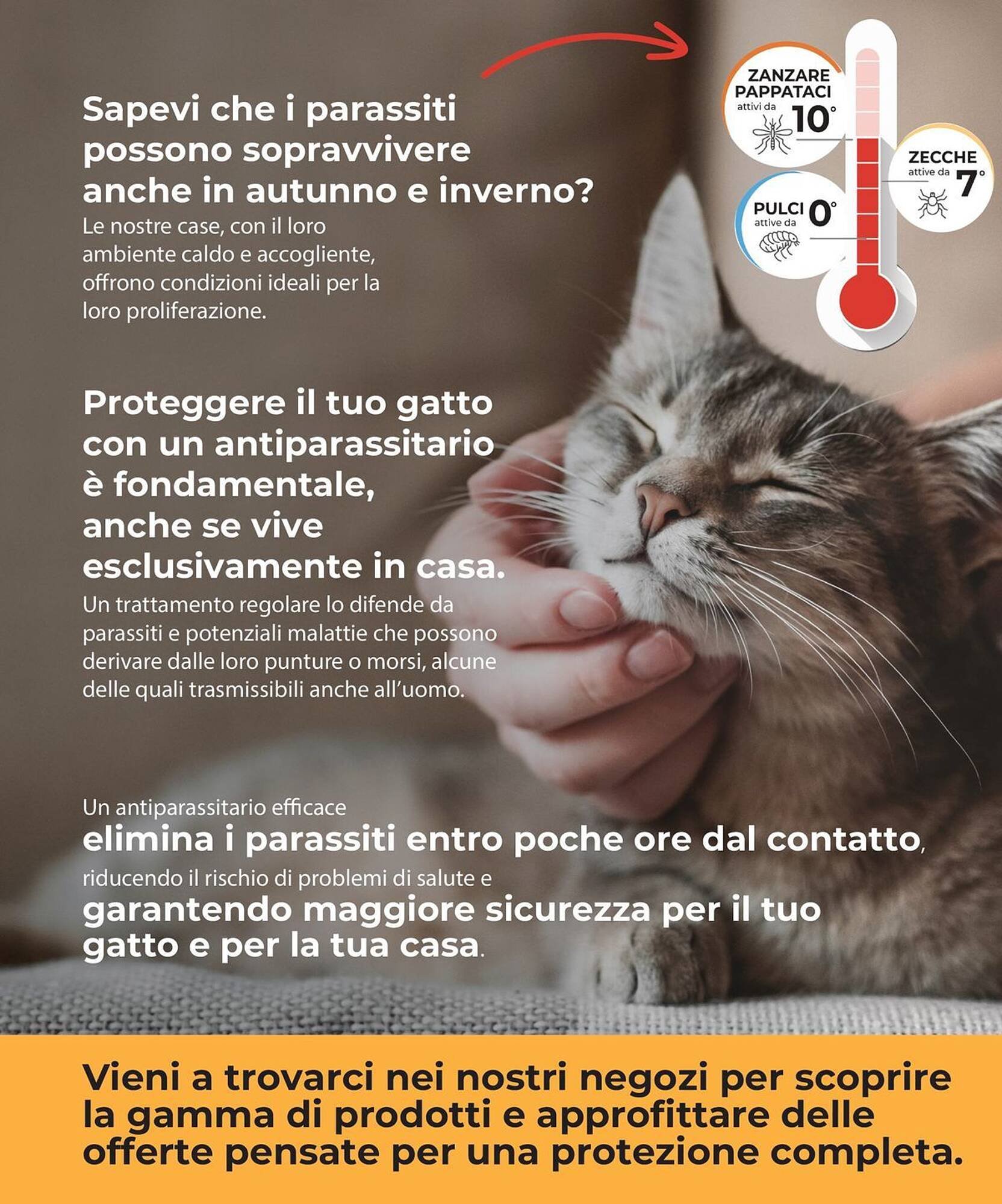 Volantino Arcaplanet (2025-10-20 - 2025-11-02)
