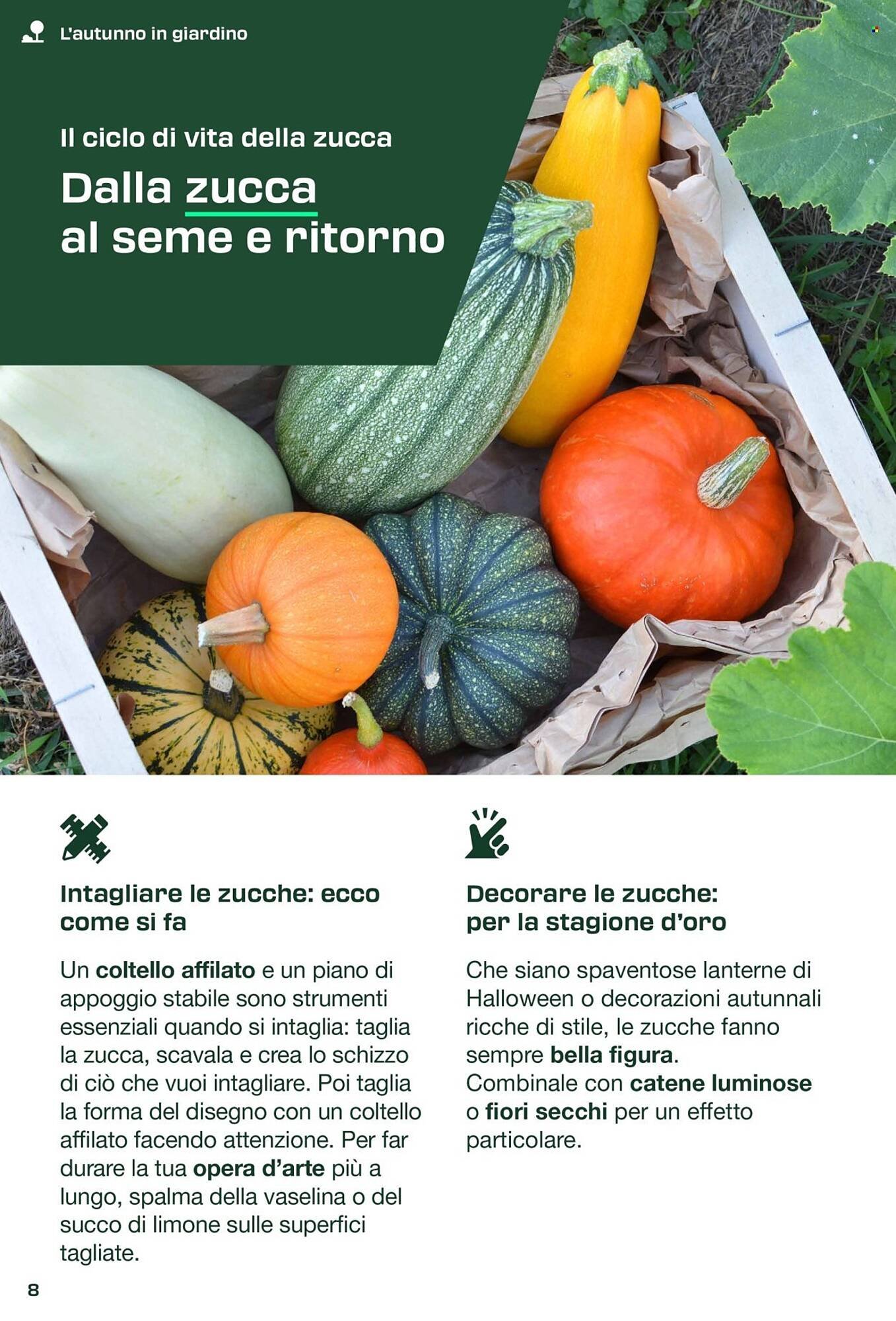Volantino Lidl (2025-08-30 - 2025-09-07)
