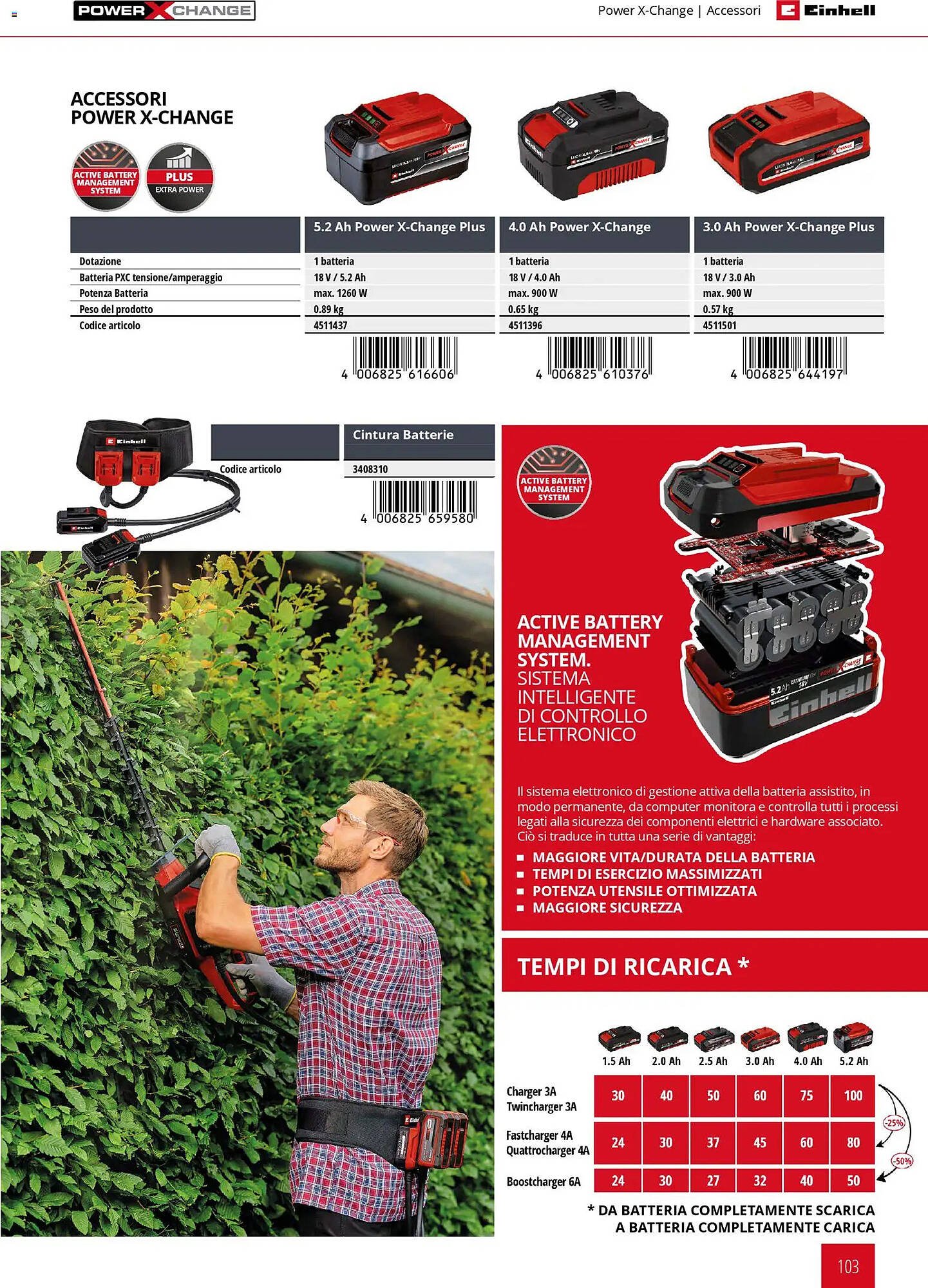 Volantino Einhell (2026-03-17 - 2026-12-31)