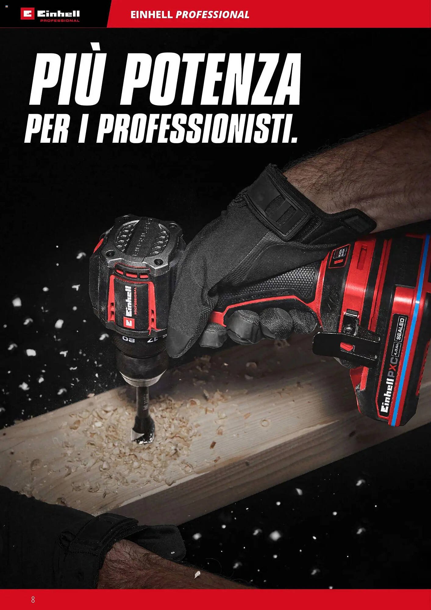 Volantino Einhell (2026-03-17 - 2026-12-31)