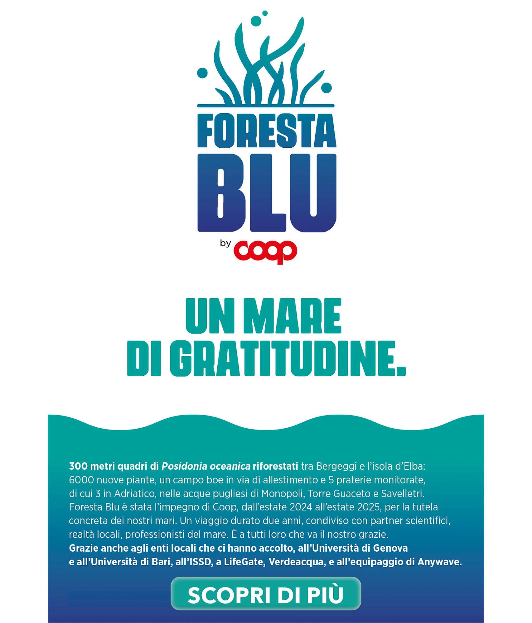 Volantino Ipercoop (2025-10-09 - 2025-10-22)