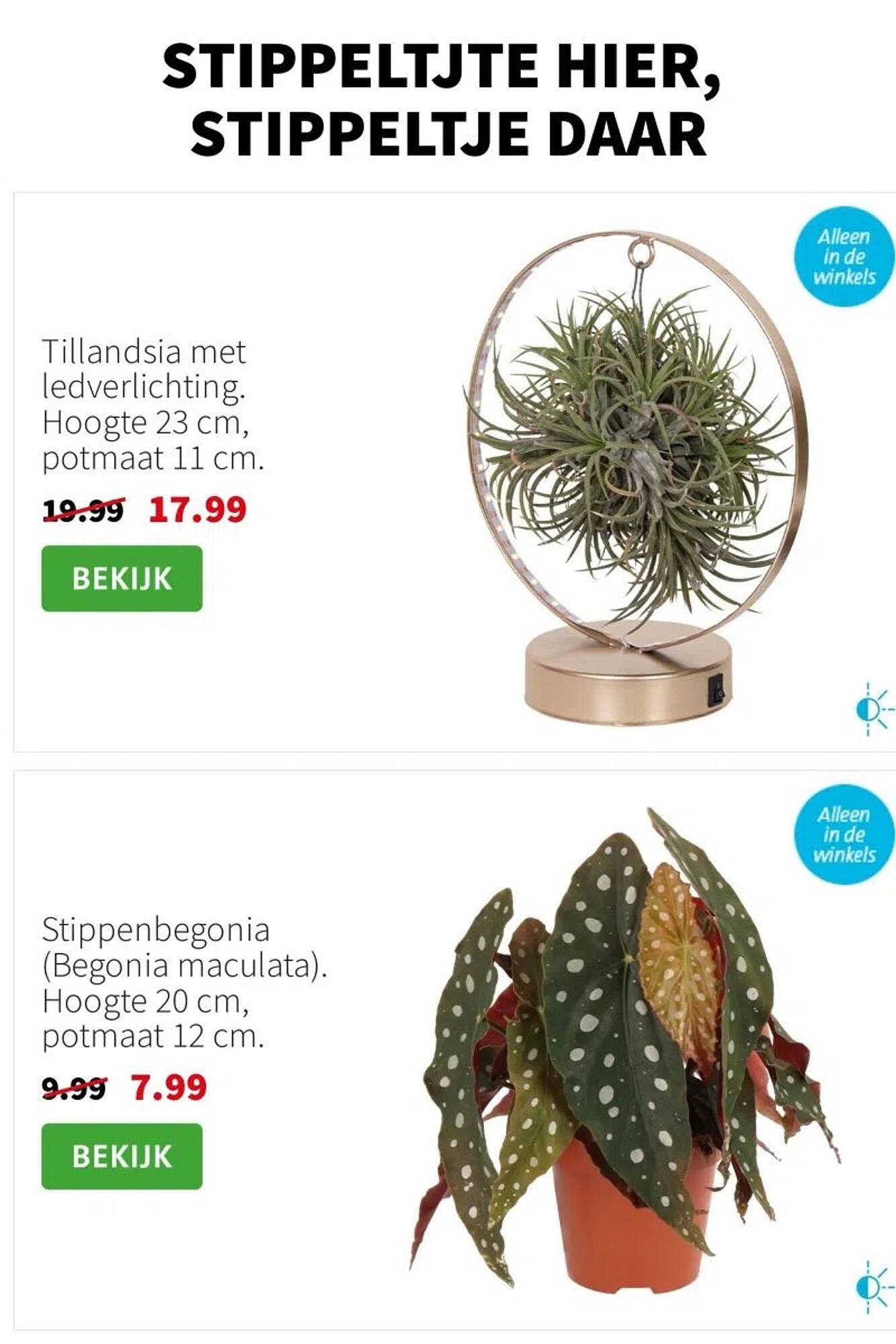 Intratuin folder (2025-12-15 - 2025-12-21)