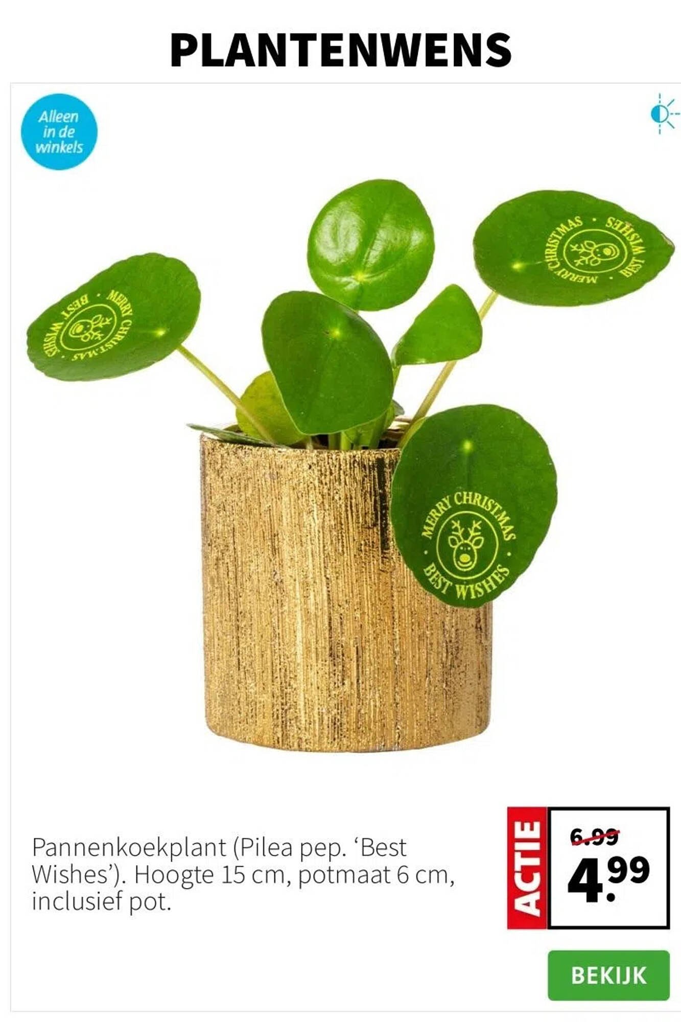 Intratuin folder (2025-12-15 - 2025-12-21)