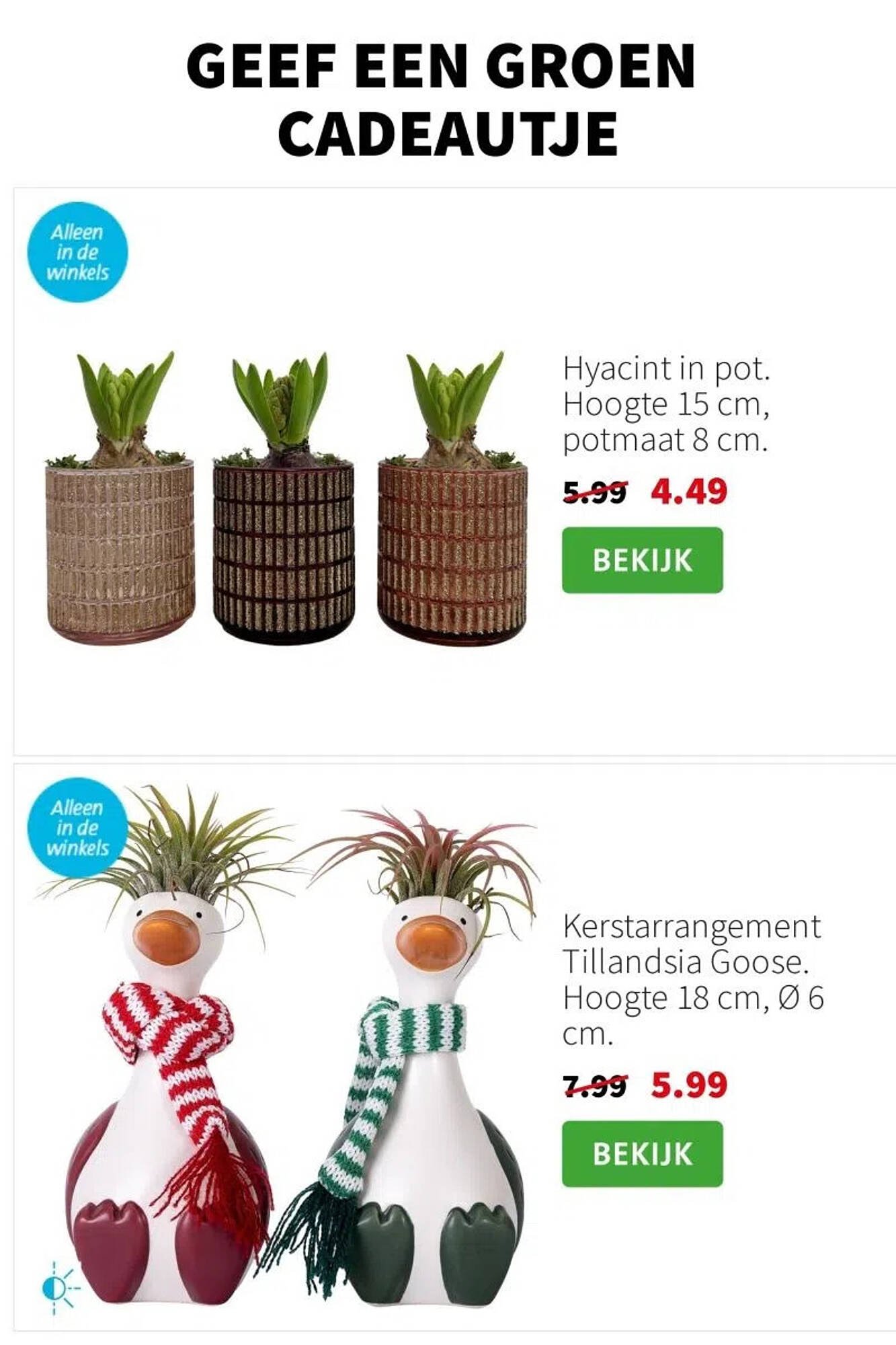 Intratuin folder (2025-12-15 - 2025-12-21)