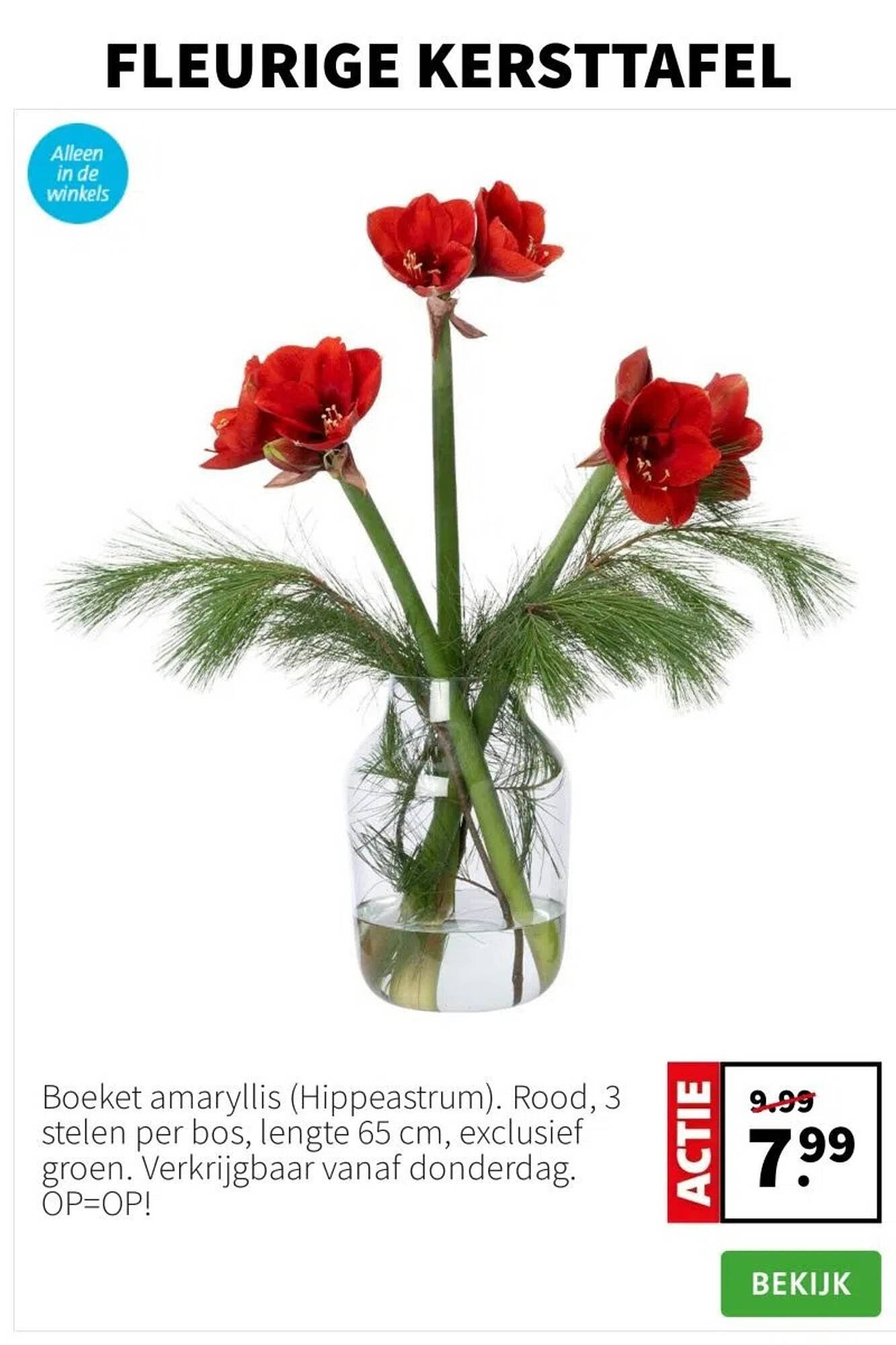 Intratuin folder (2025-12-15 - 2025-12-21)