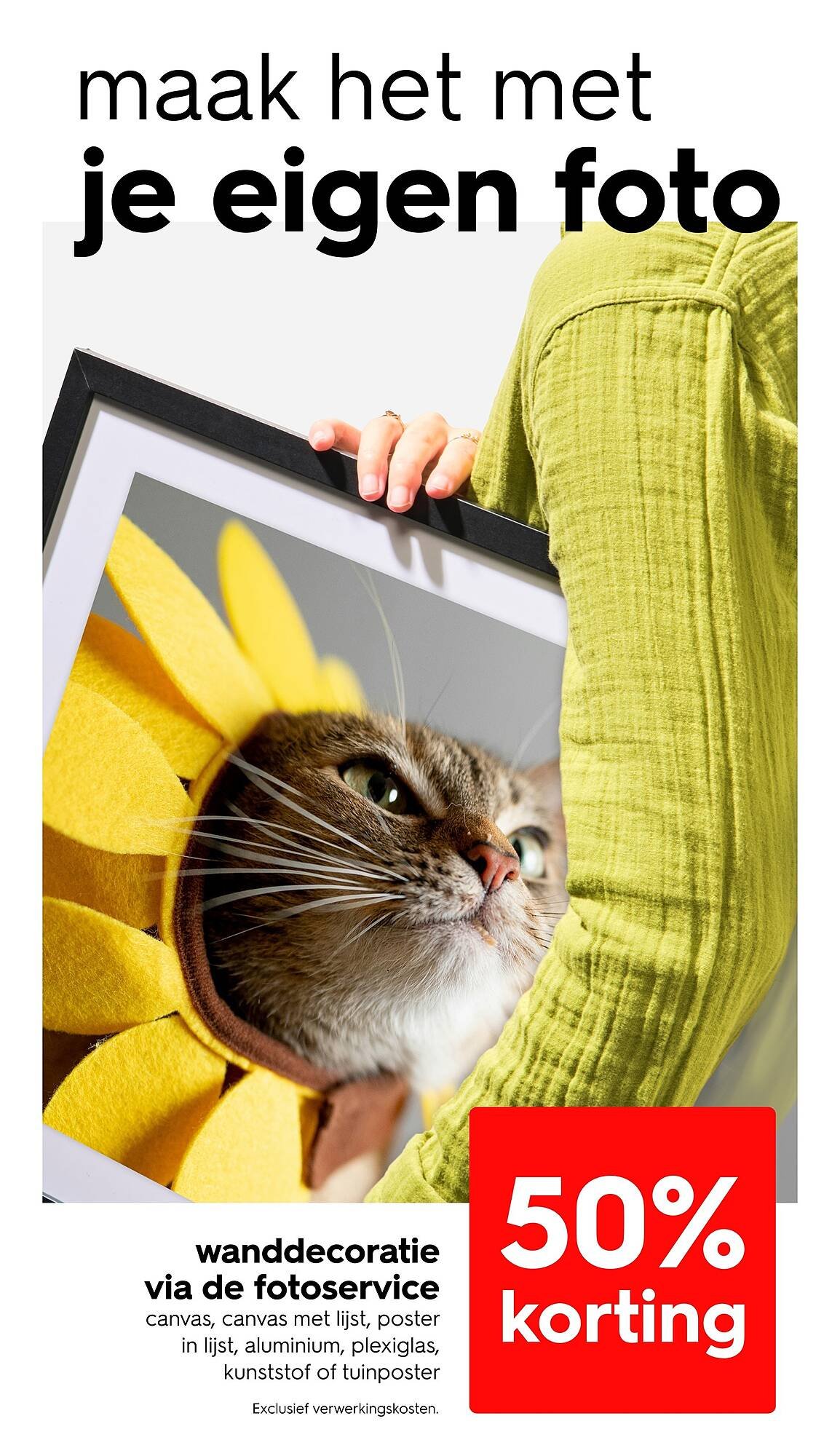 HEMA folder