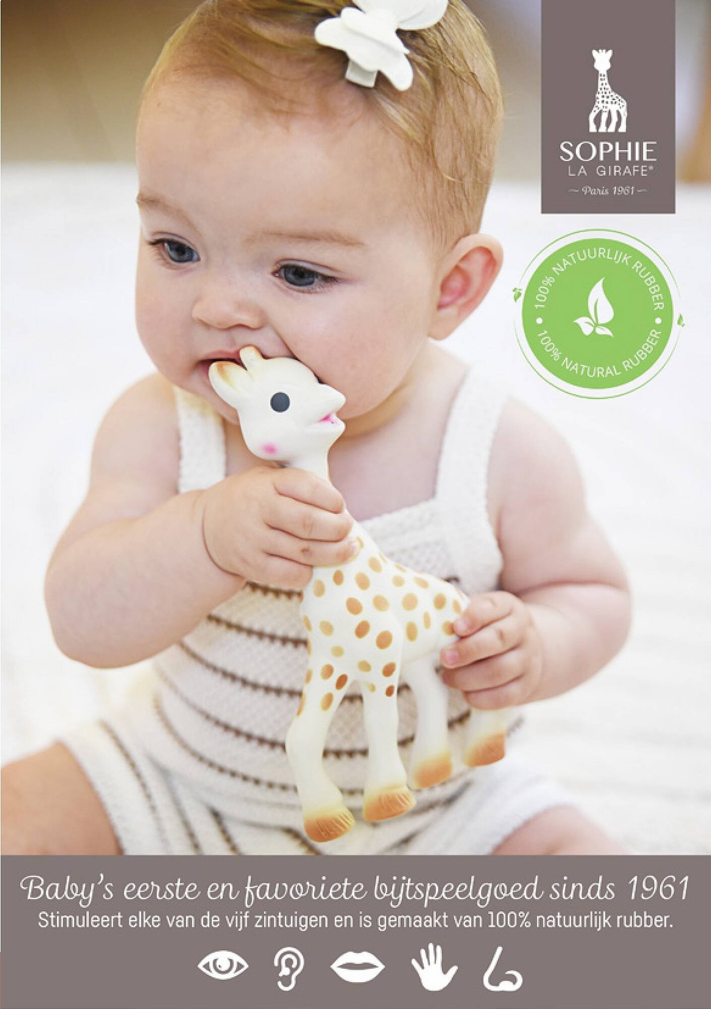 Prenatal folder (2025-10-20 - 2025-11-02)
